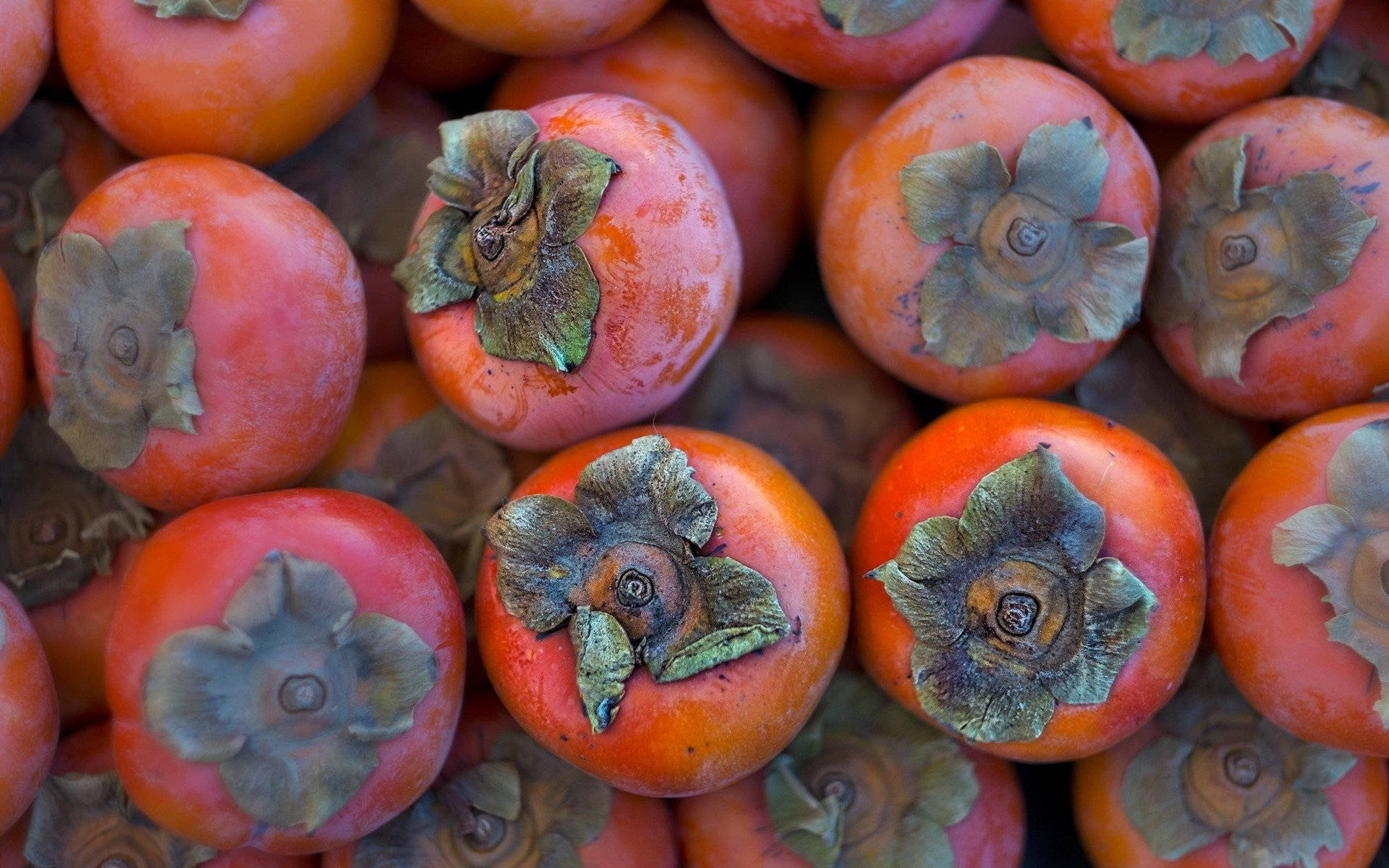 persimmon, vibrant orange, textured calyxes, Full HD Desktop Wallpaper