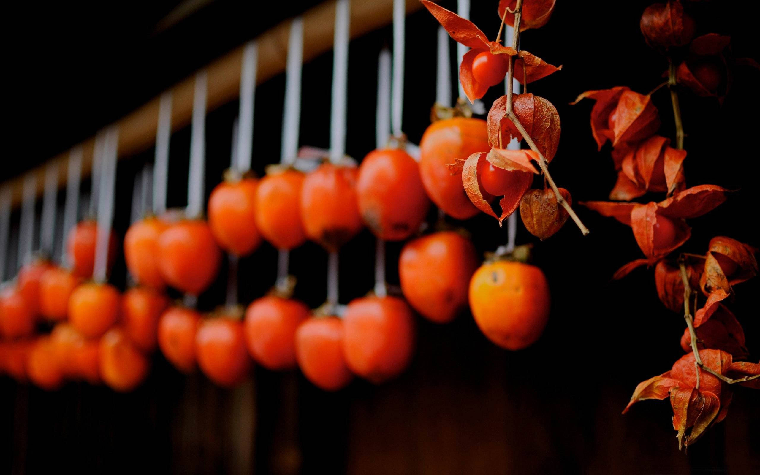 persimmon fruit, vibrant orange, autumnal clusters, 2K Desktop Wallpaper