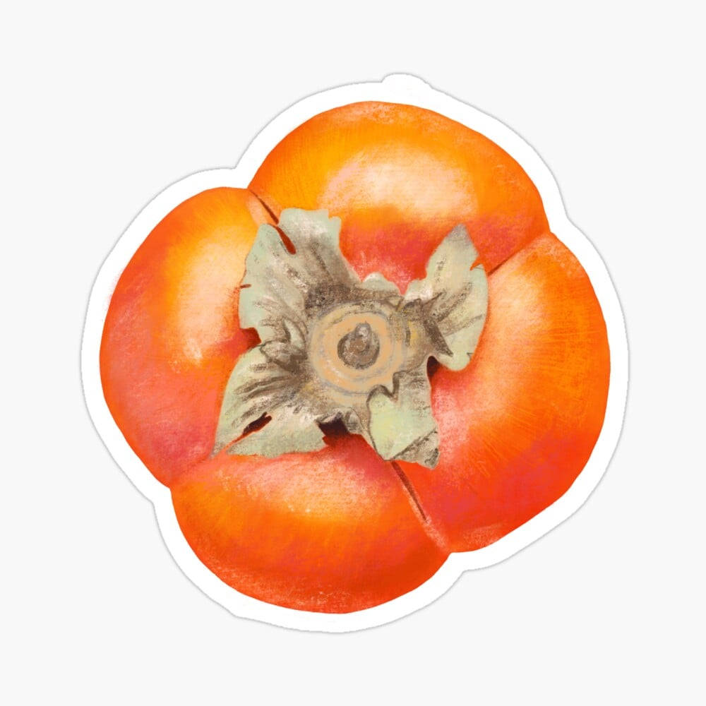 persimmon fruit, watercolor-style, detailed dried stem, SD Desktop Wallpaper