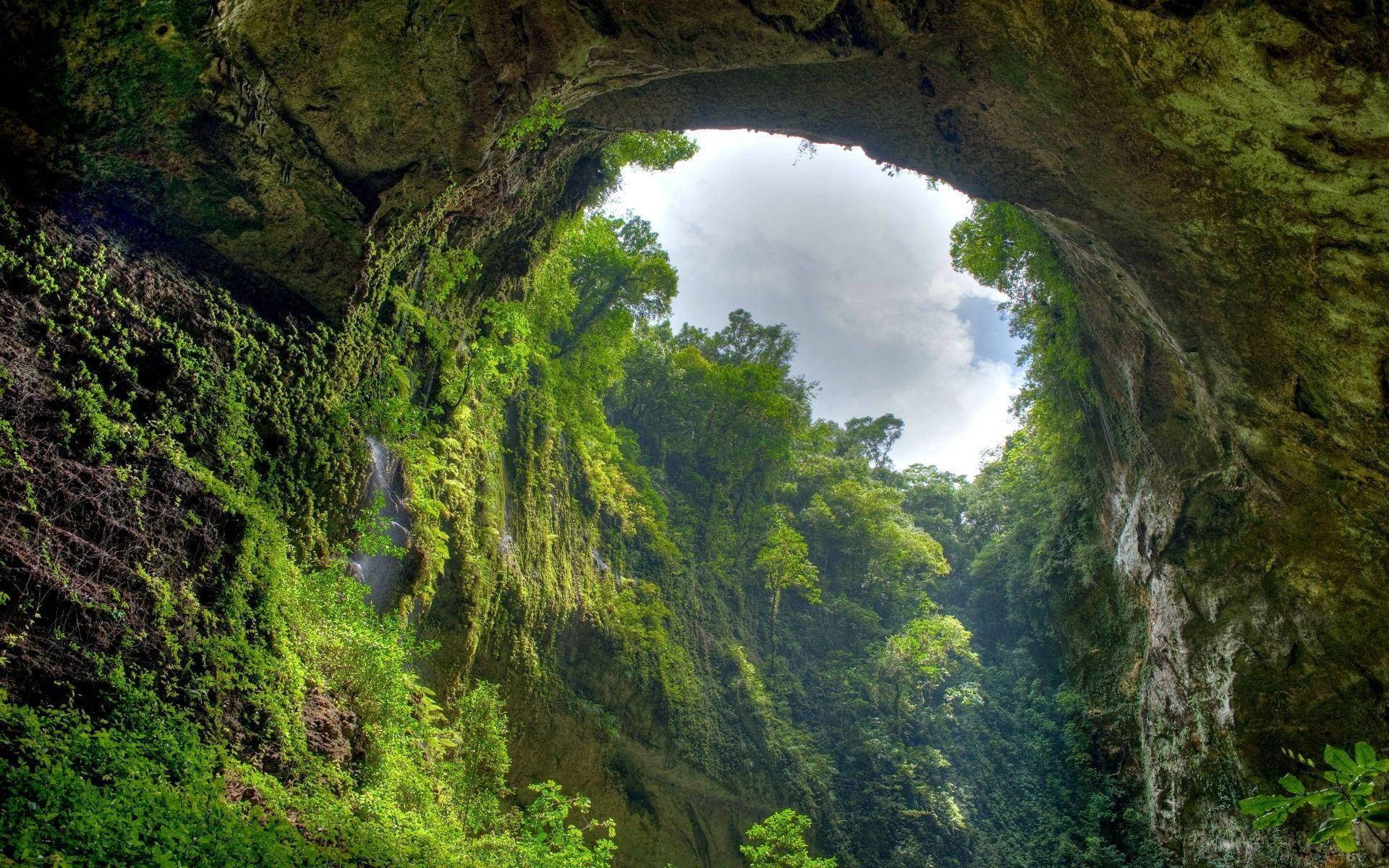 Peru, green cave, jungle canopy, Full HD Desktop Wallpaper