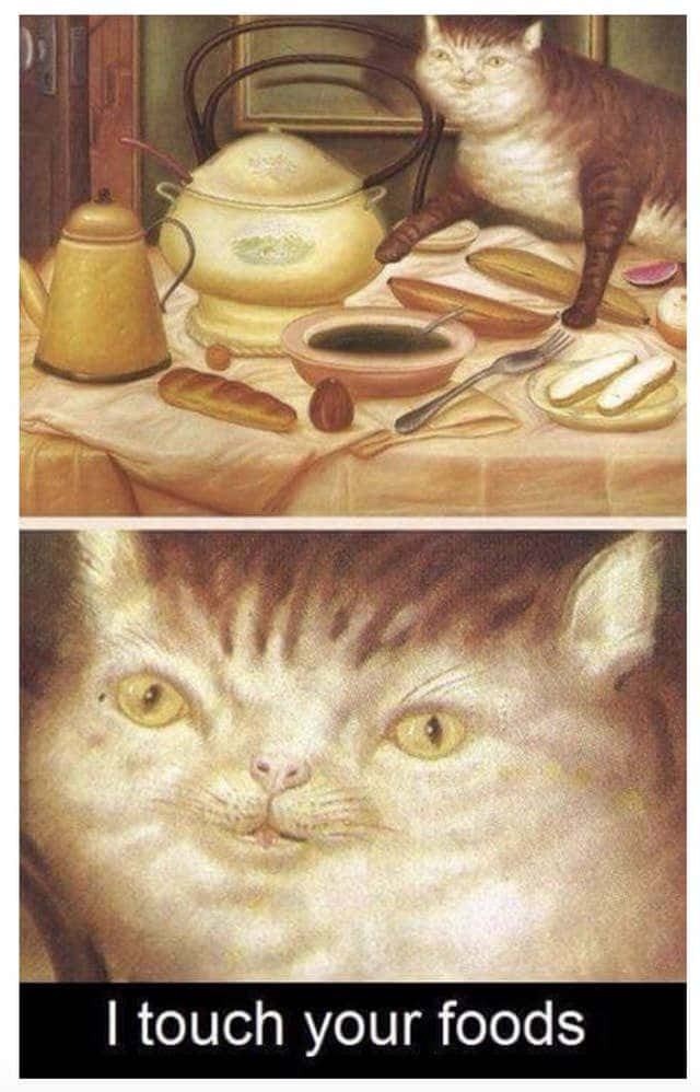 tabby cat, breakfast table, bread, SD Phone Wallpaper