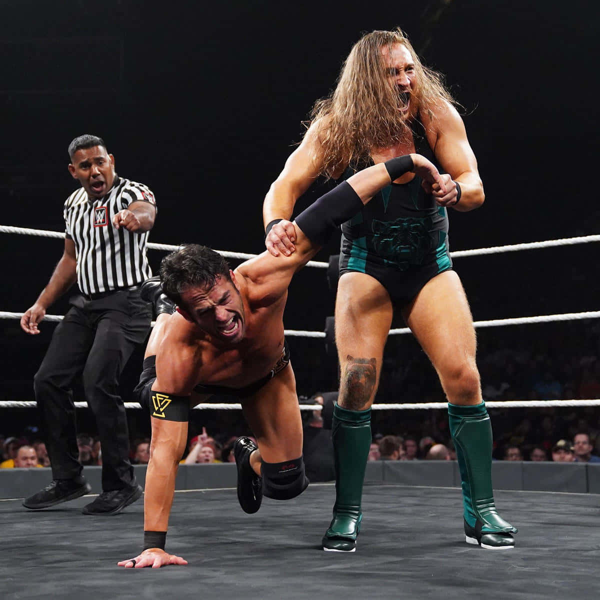 Pete Dunne, wrestling match, ring, SD Desktop Wallpaper