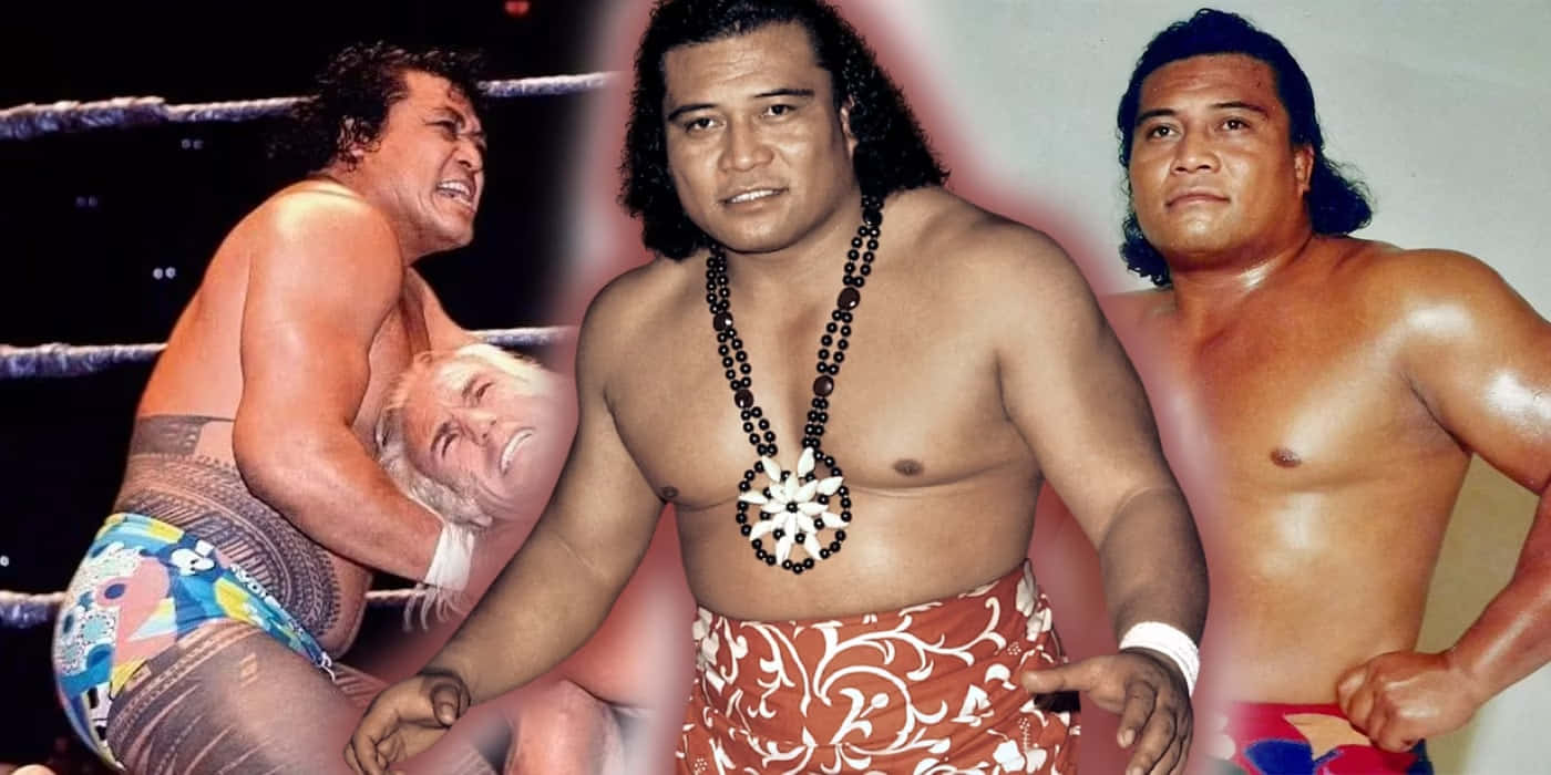 Peter Maivia, wrestling ring, colorful ring attire, HD Desktop Wallpaper