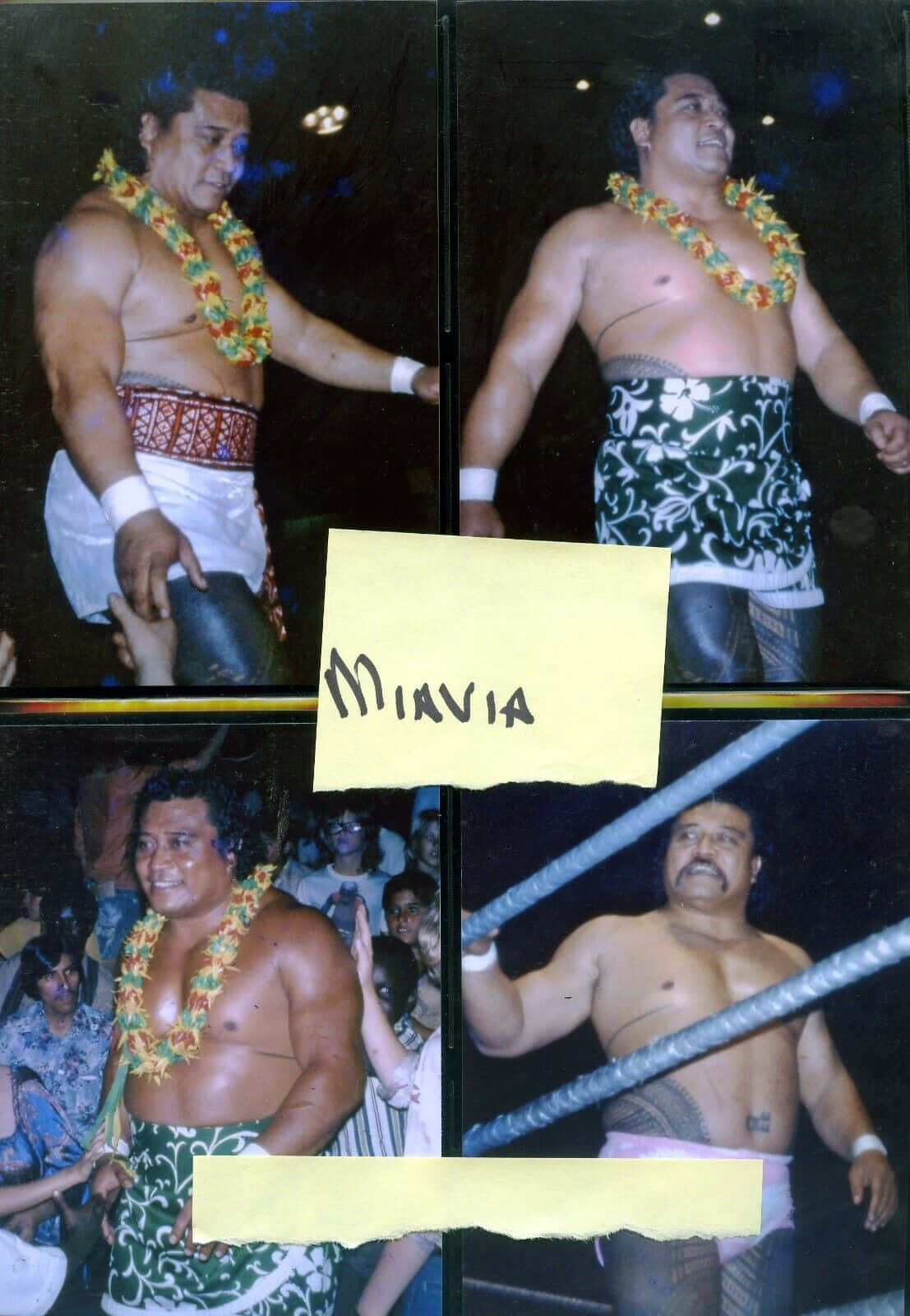 Peter Maivia, wrestling collage, muscular wrestler, HD Phone Wallpaper