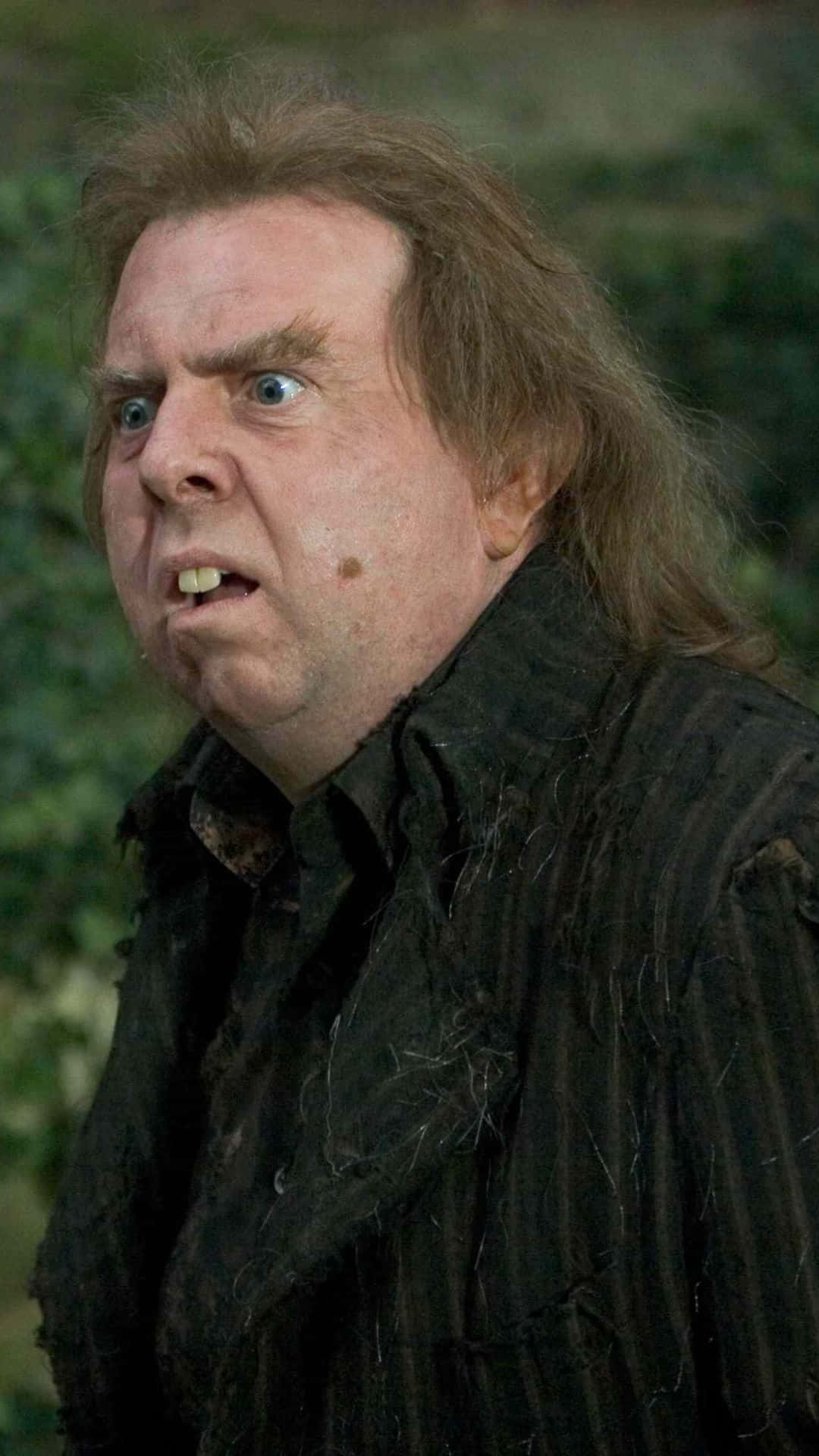Peter Pettigrew, wild brown hair, wide blue eyes, Full HD Phone Wallpaper