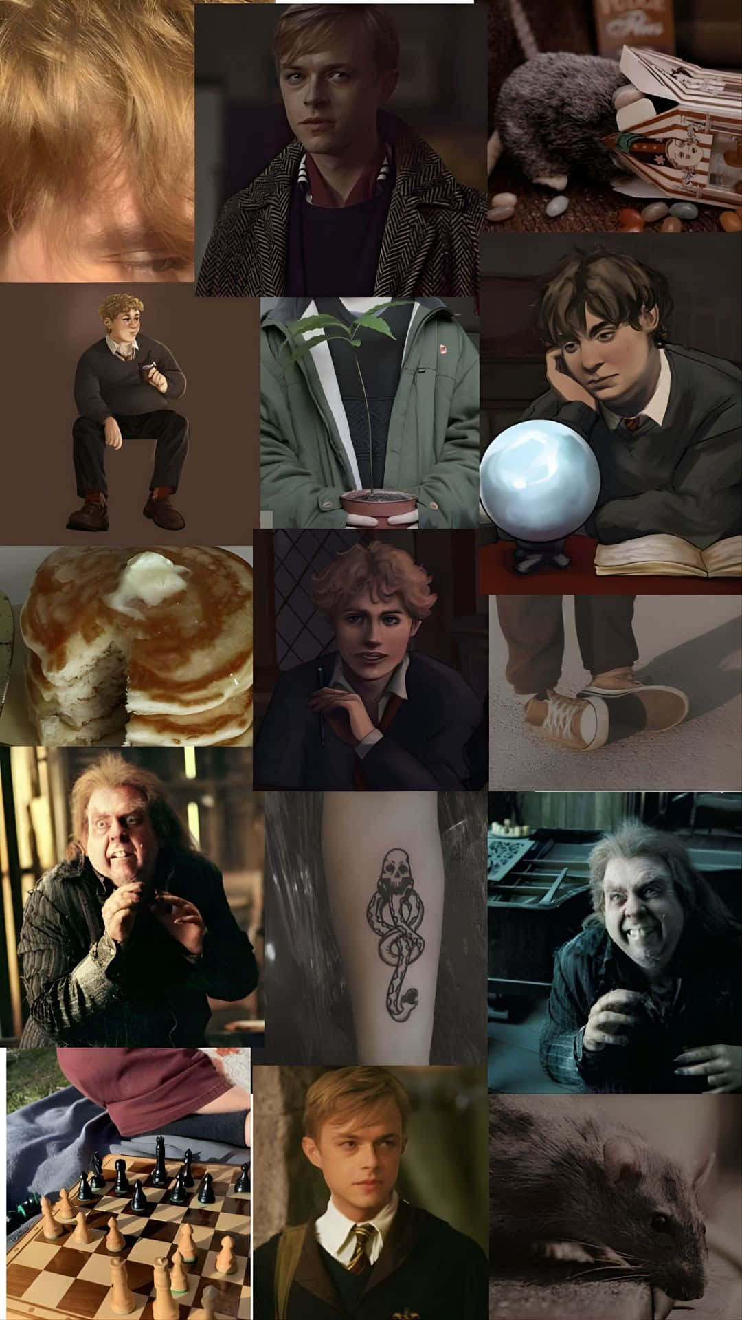 Peter Pettigrew, chessboard, rat, Full HD Phone Wallpaper