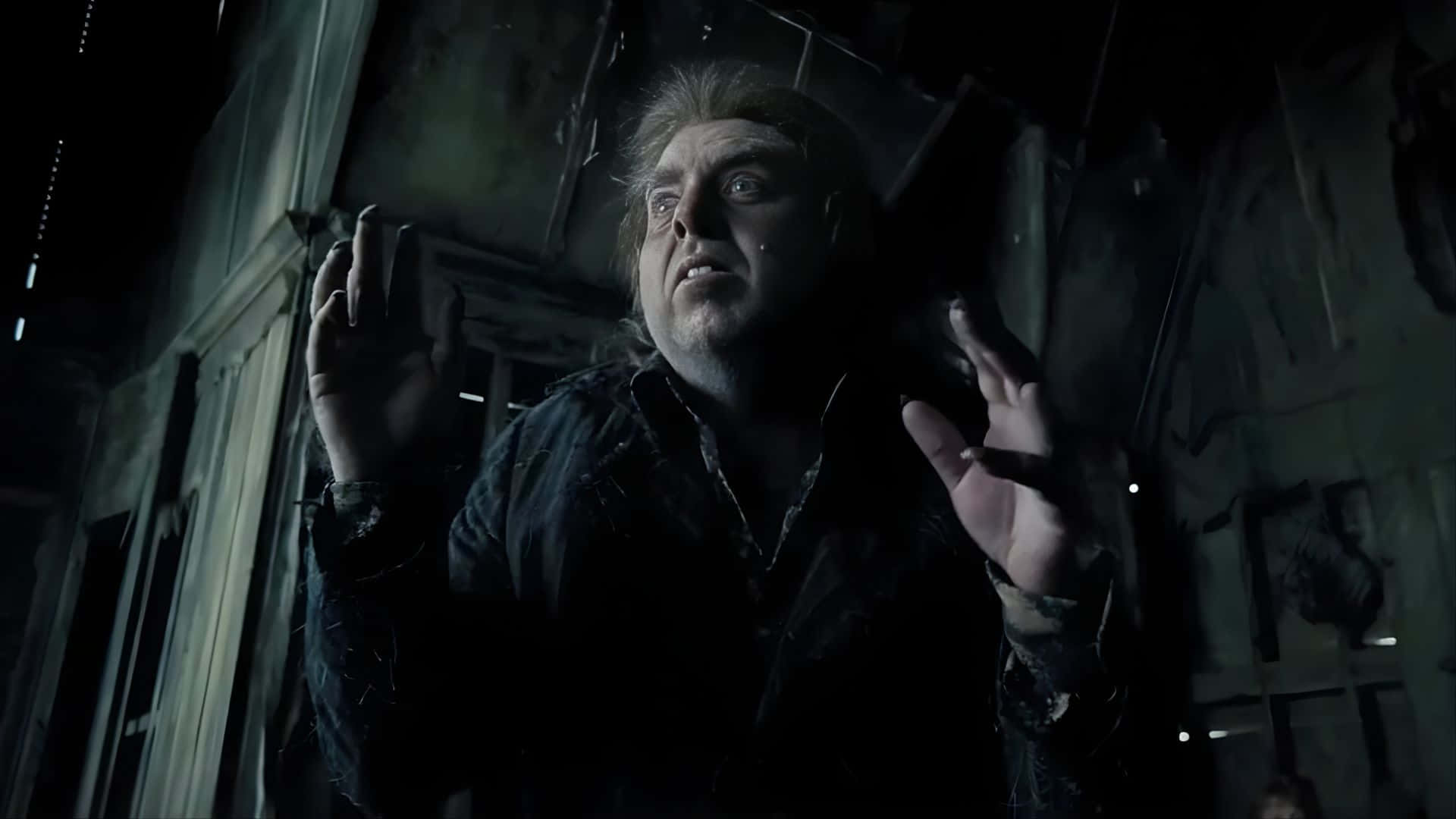 Peter Pettigrew, wild hair, tear streaks, Full HD Desktop Wallpaper