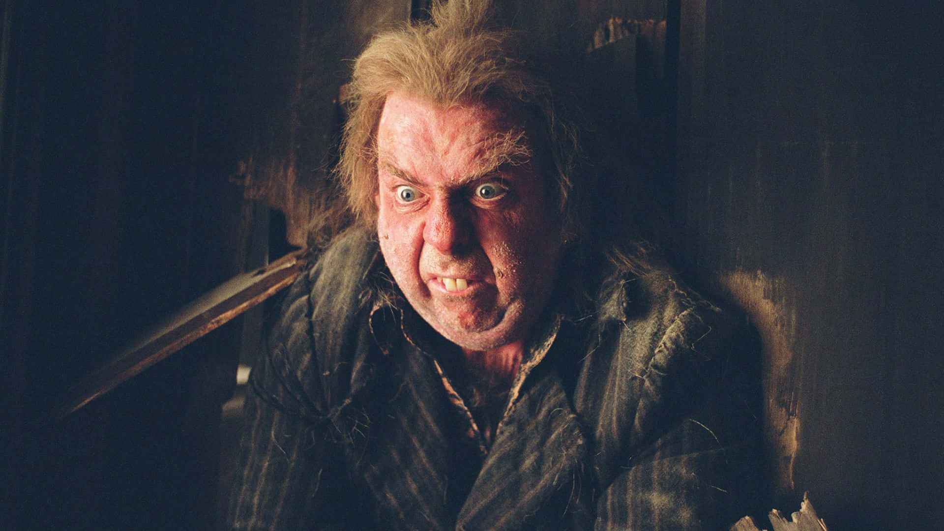 Peter Pettigrew, wild hair, grimy face, Full HD Desktop Wallpaper