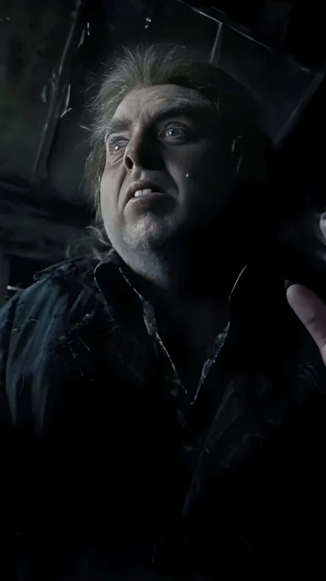 Peter Pettigrew, wild hair, tear streaks, Full HD Phone Wallpaper