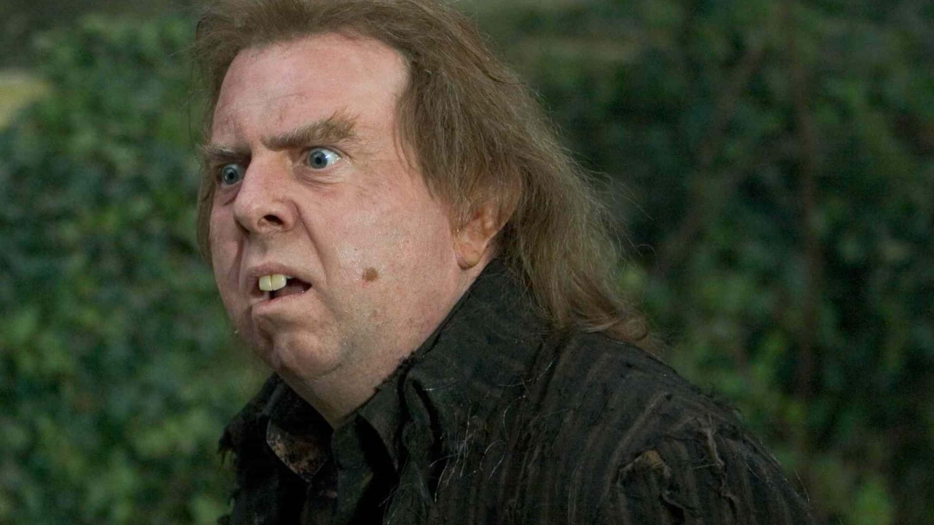 Peter Pettigrew, wild hair, wide eyes, Full HD Desktop Wallpaper