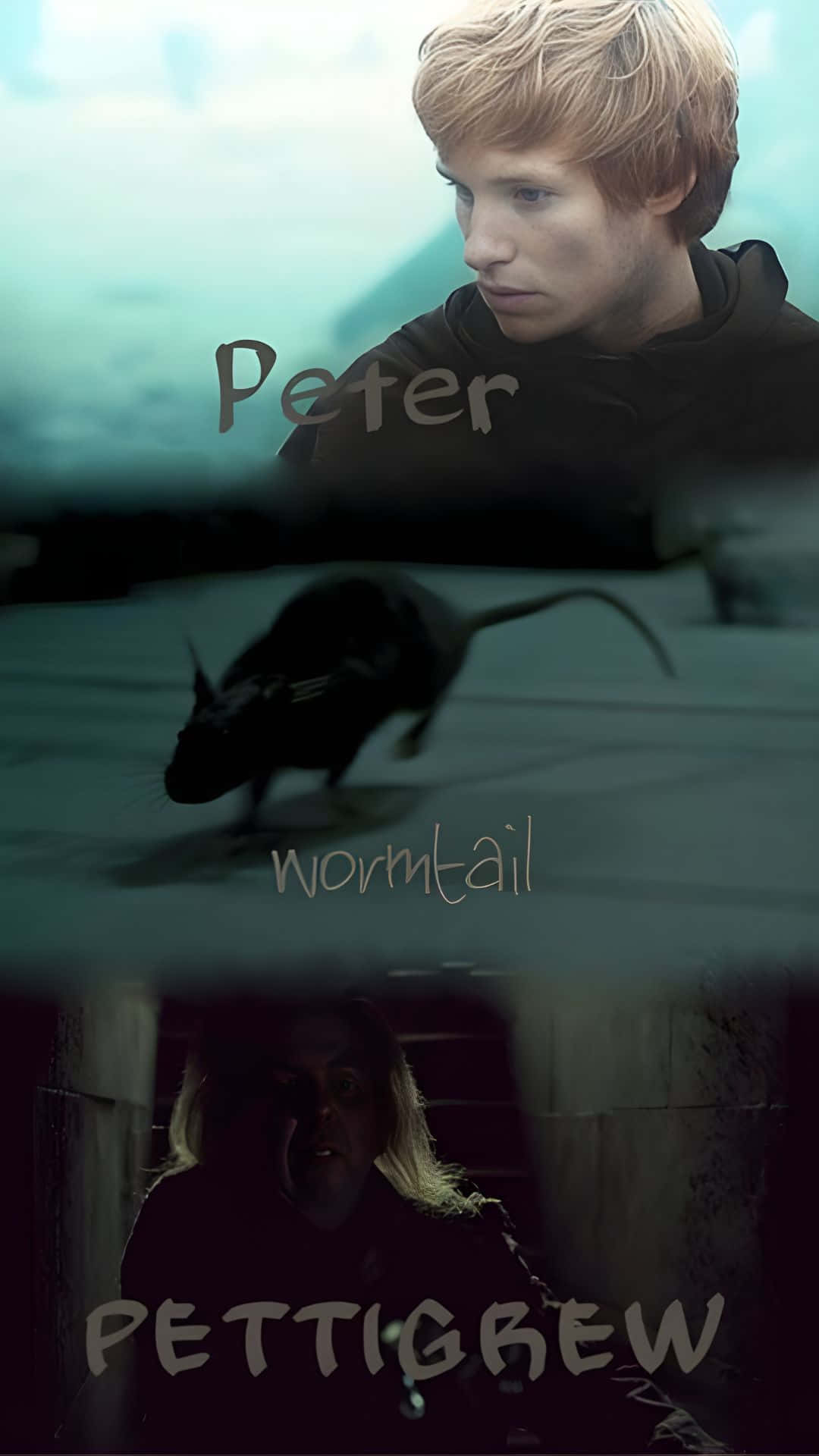 Peter Pettigrew, young man, rat, Full HD Phone Wallpaper