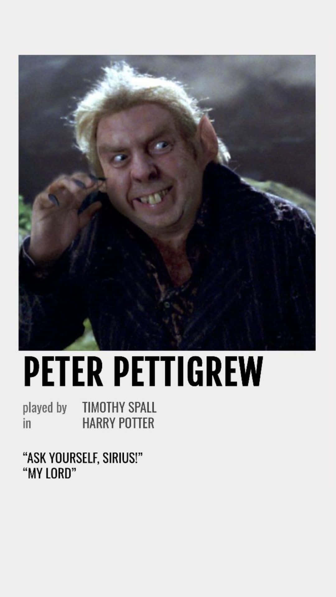 Peter Pettigrew, wild blonde hair, pointed ears, Full HD Phone Wallpaper