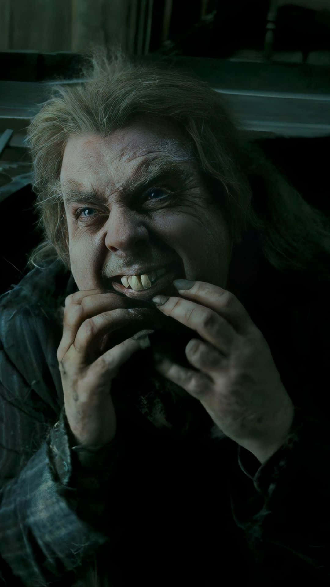 Peter Pettigrew, betrayal scene, wild hair, Full HD Phone Wallpaper
