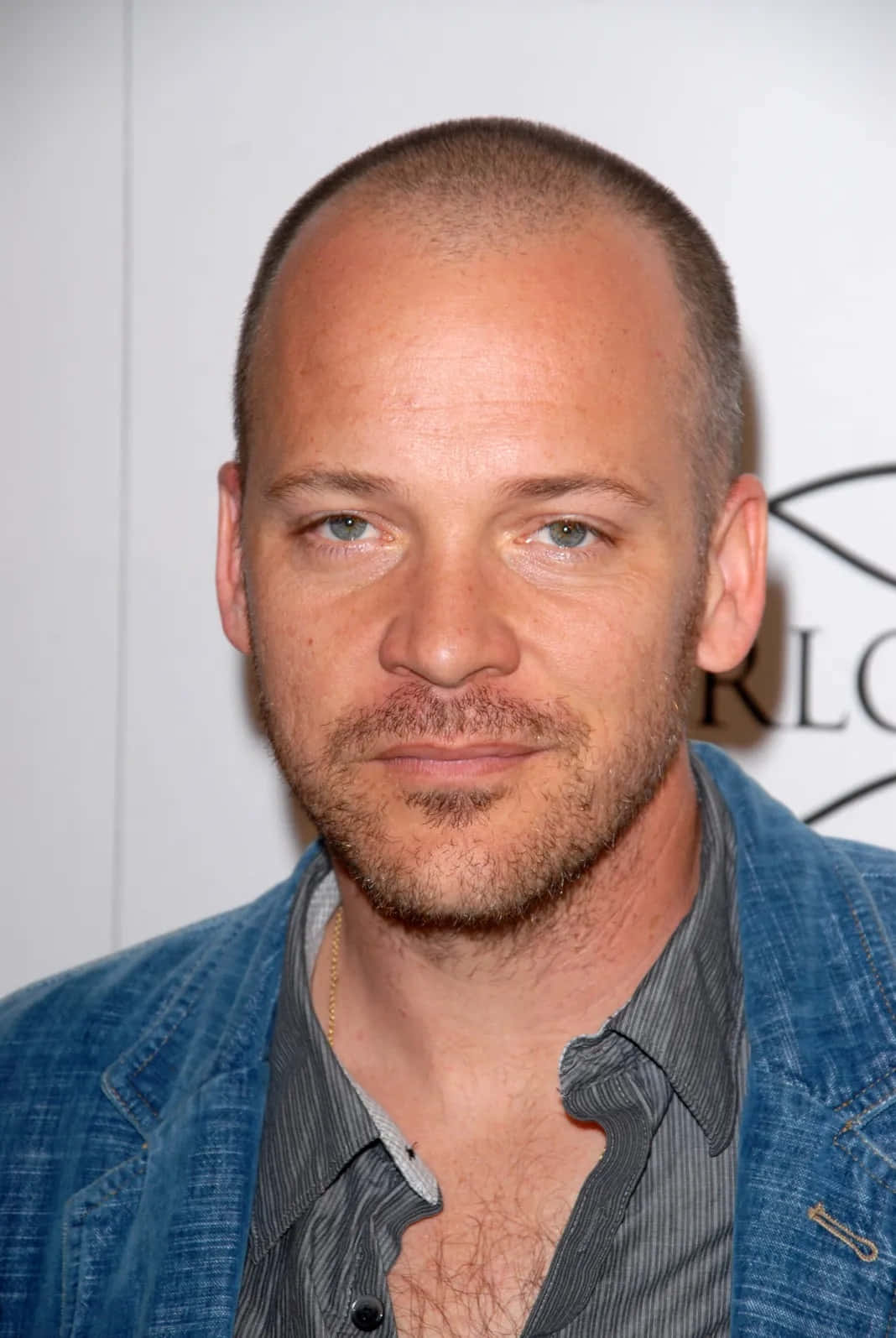Peter Sarsgaard, denim jacket, striped shirt, HD Phone Wallpaper