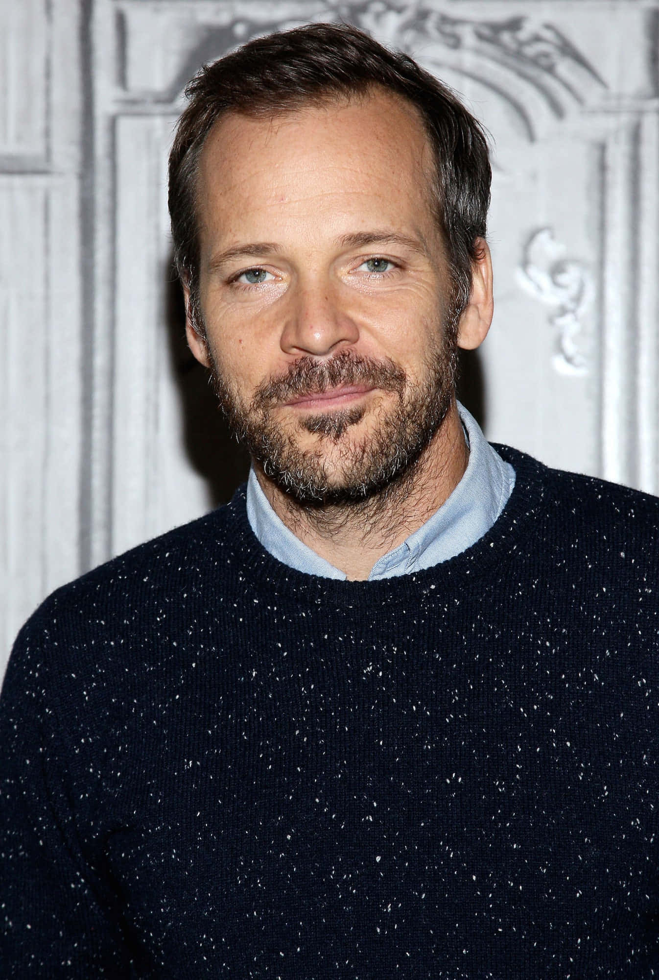 Peter Sarsgaard, dark speckled sweater, light blue shirt, Full HD Phone Wallpaper