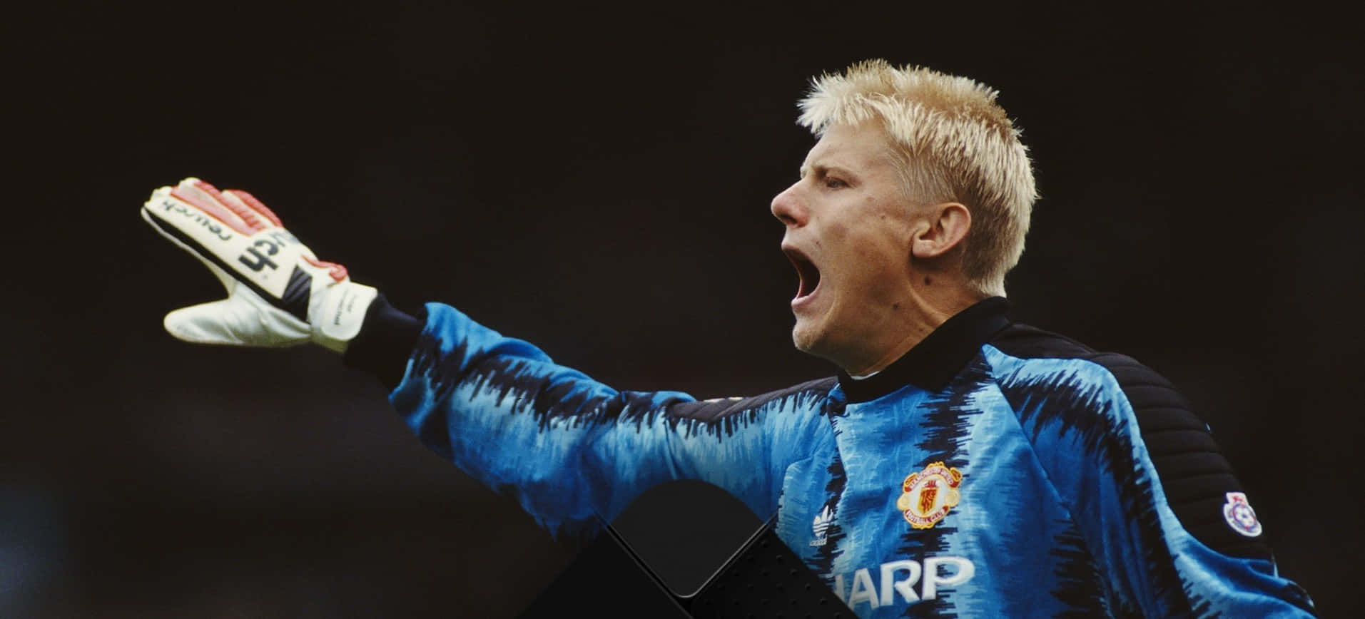 Peter Schmeichel, goalkeeper, bleached hair, HD Desktop Wallpaper
