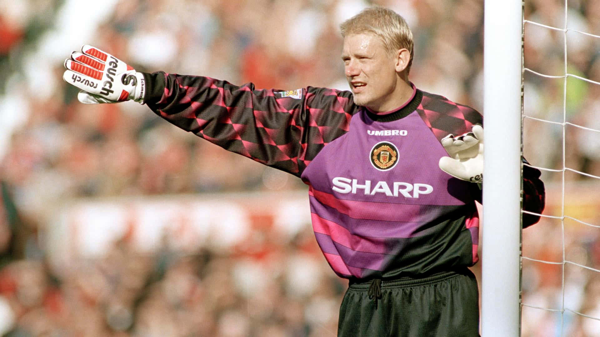 Peter Schmeichel, purple and black striped jersey, goalkeeper, Full HD Desktop Wallpaper