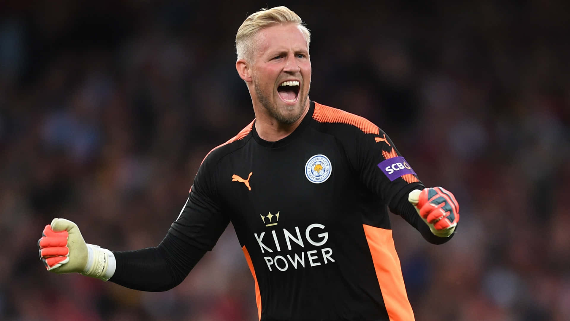 Peter Schmeichel, black and orange kit, stadium crowd, Full HD Desktop Wallpaper