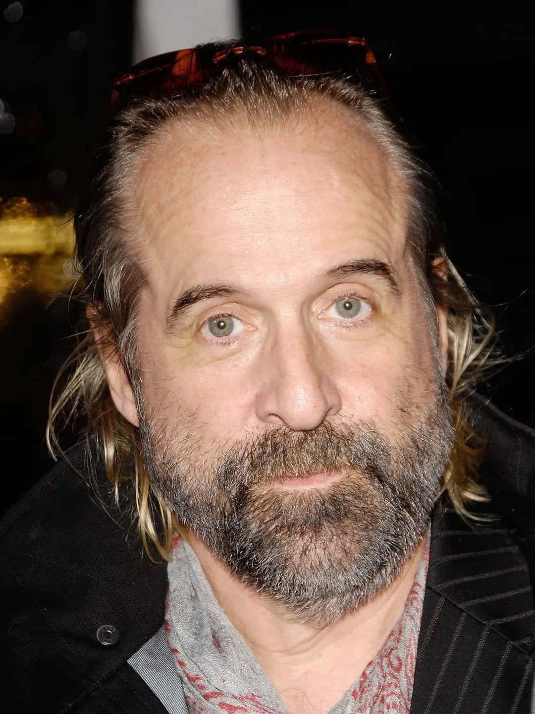 Peter Stormare, graying hair, beard, HD Phone Wallpaper