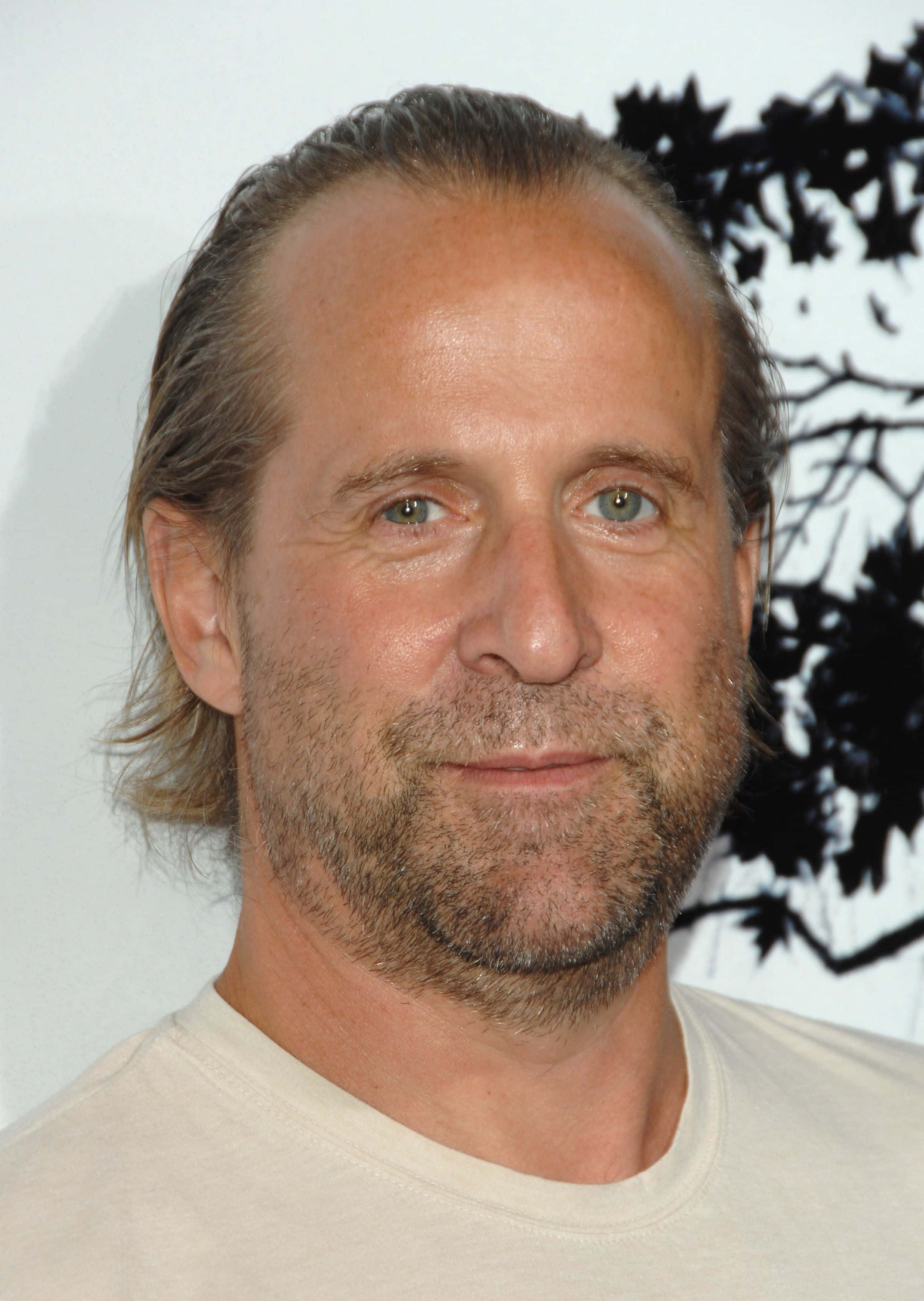 Peter Stormare, white t-shirt, white background, 2K Phone Wallpaper