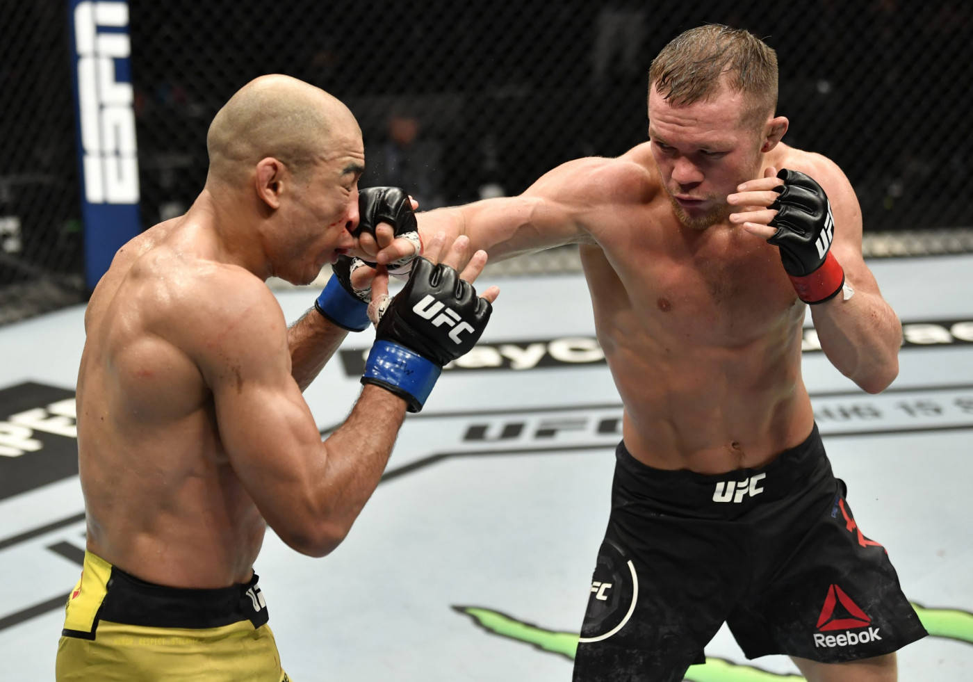 Petr Yan, MMA fighters, cage match, HD Desktop Wallpaper