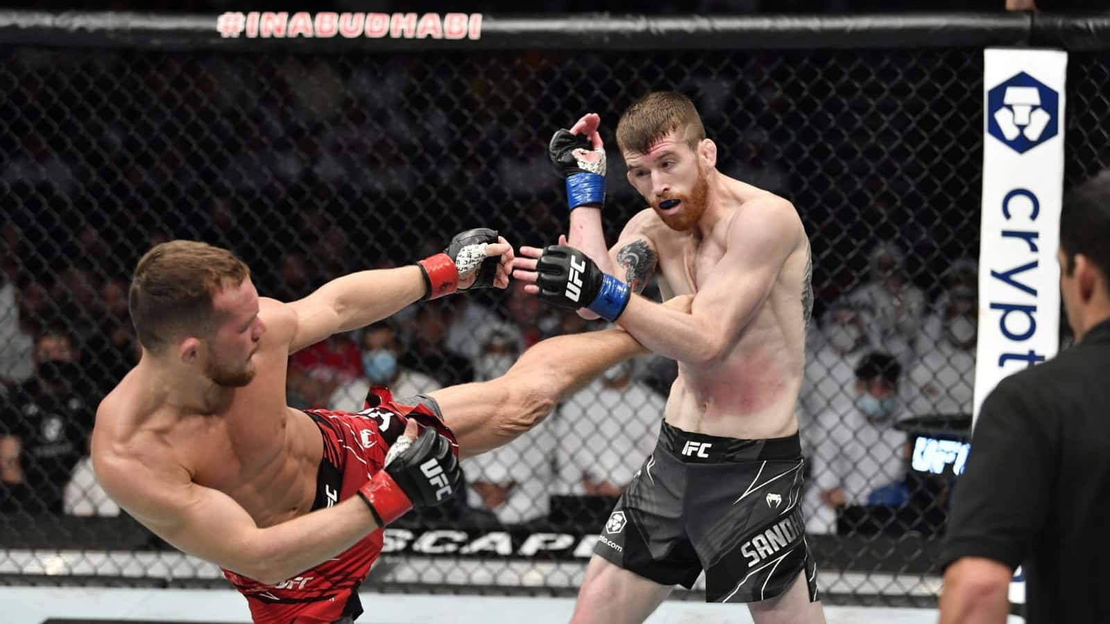 Petr Yan, MMA fighters, cage match, HD Desktop Wallpaper