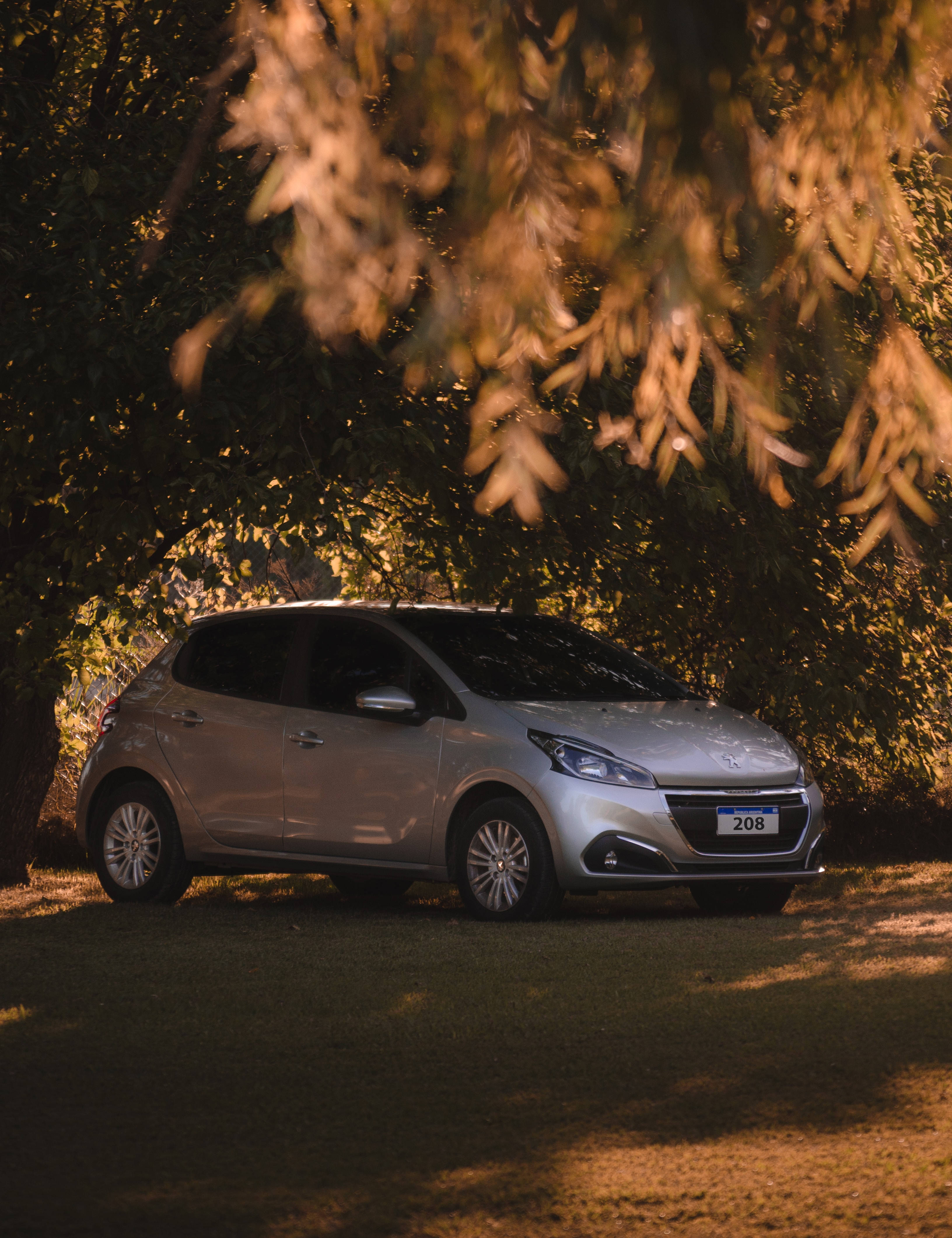 Peugeot 208, silver, golden sunlight, 4K Phone Wallpaper
