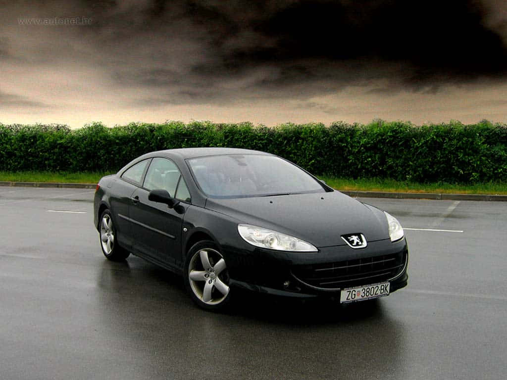Peugeot 407, black, wet asphalt lot, SD Desktop Wallpaper