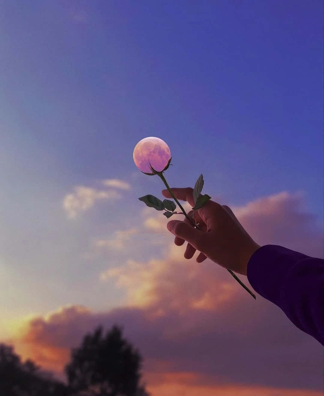 Moon Flower, glowing pink moon, twilight sky, HD Phone Wallpaper