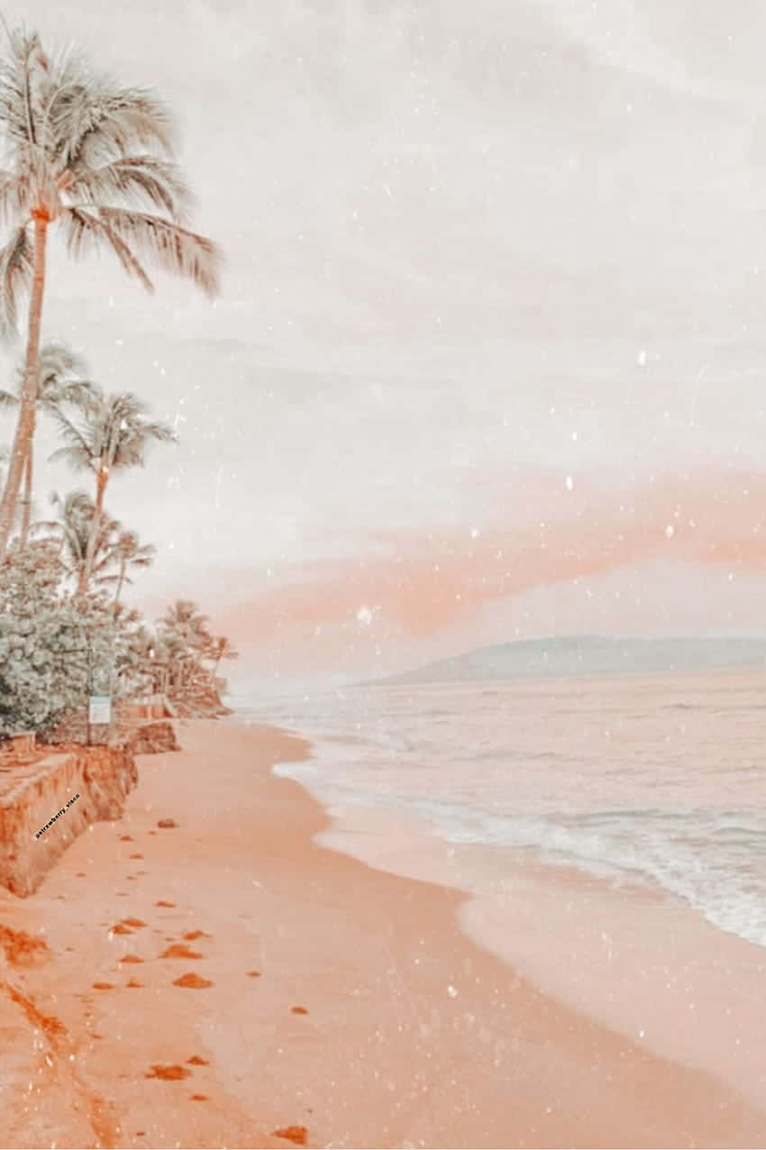 pink beach, tropical beach, palm trees, SD Phone Wallpaper