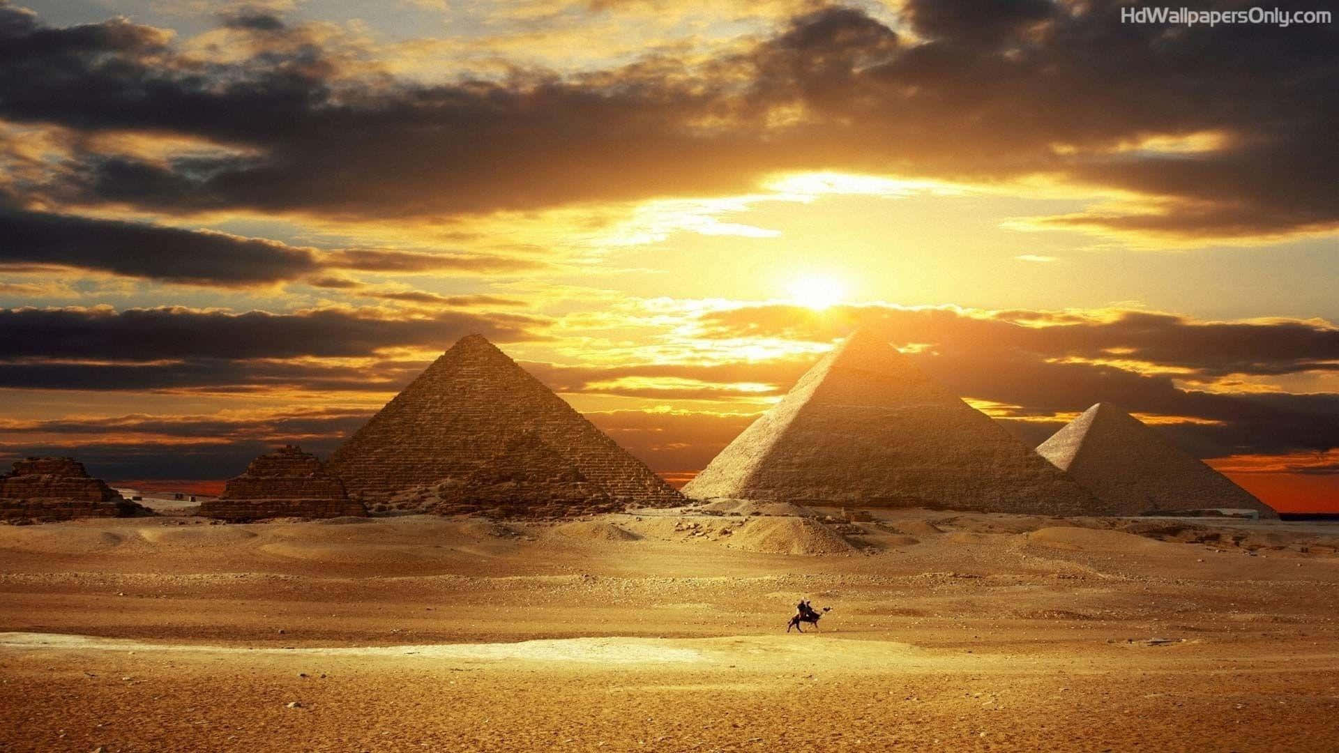 pyramids, desert sands, camel rider, Full HD Desktop Wallpaper