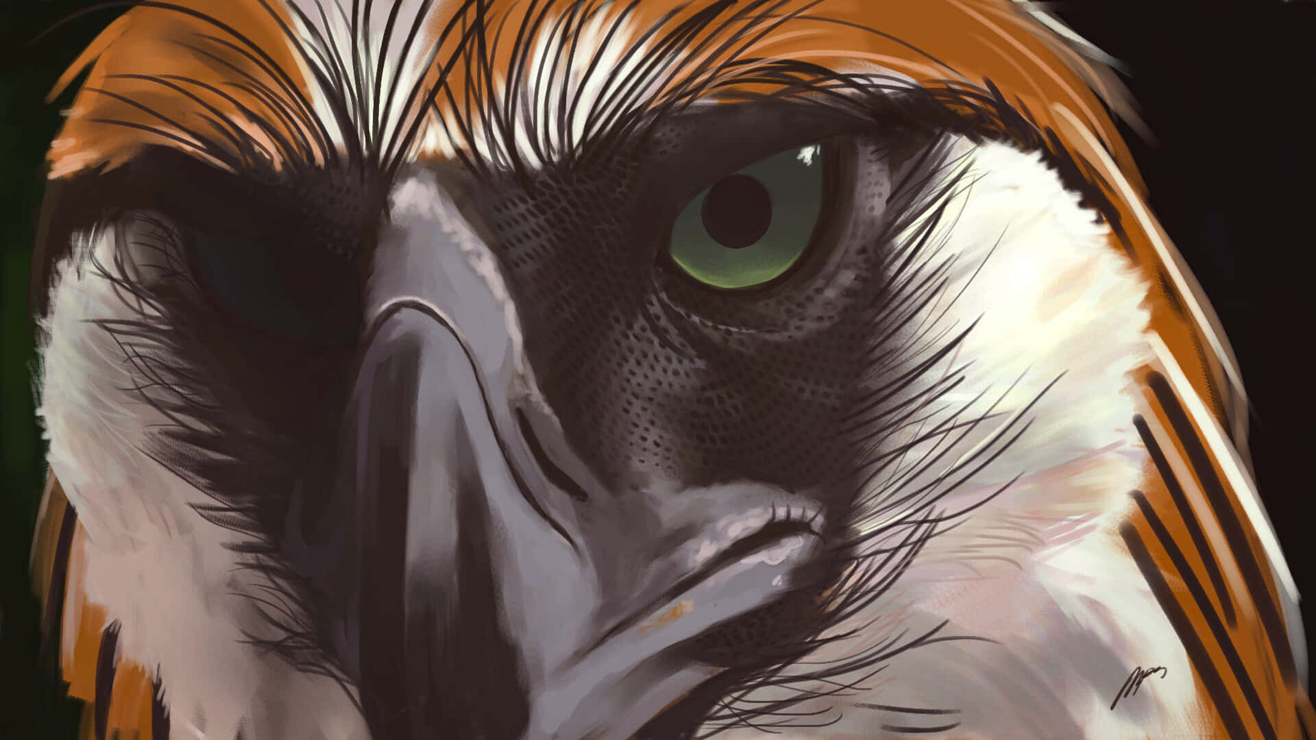 Philippine eagle, piercing green eyes, detailed feather textures, Full HD Desktop Wallpaper