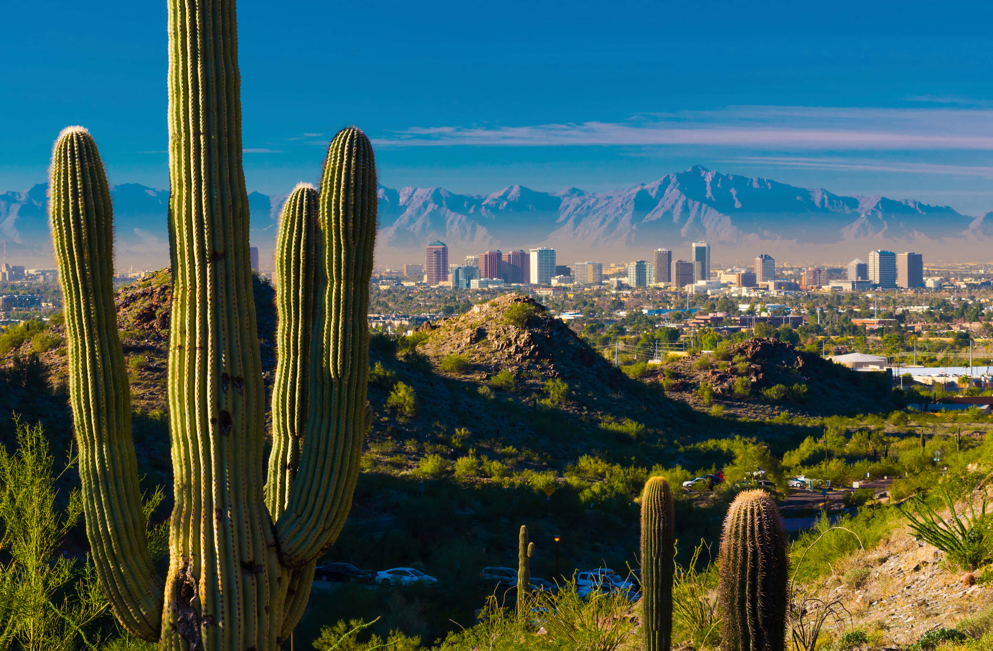 Phoenix, Arizona, saguaro cacti, desert cityscape, 2K Desktop Wallpaper