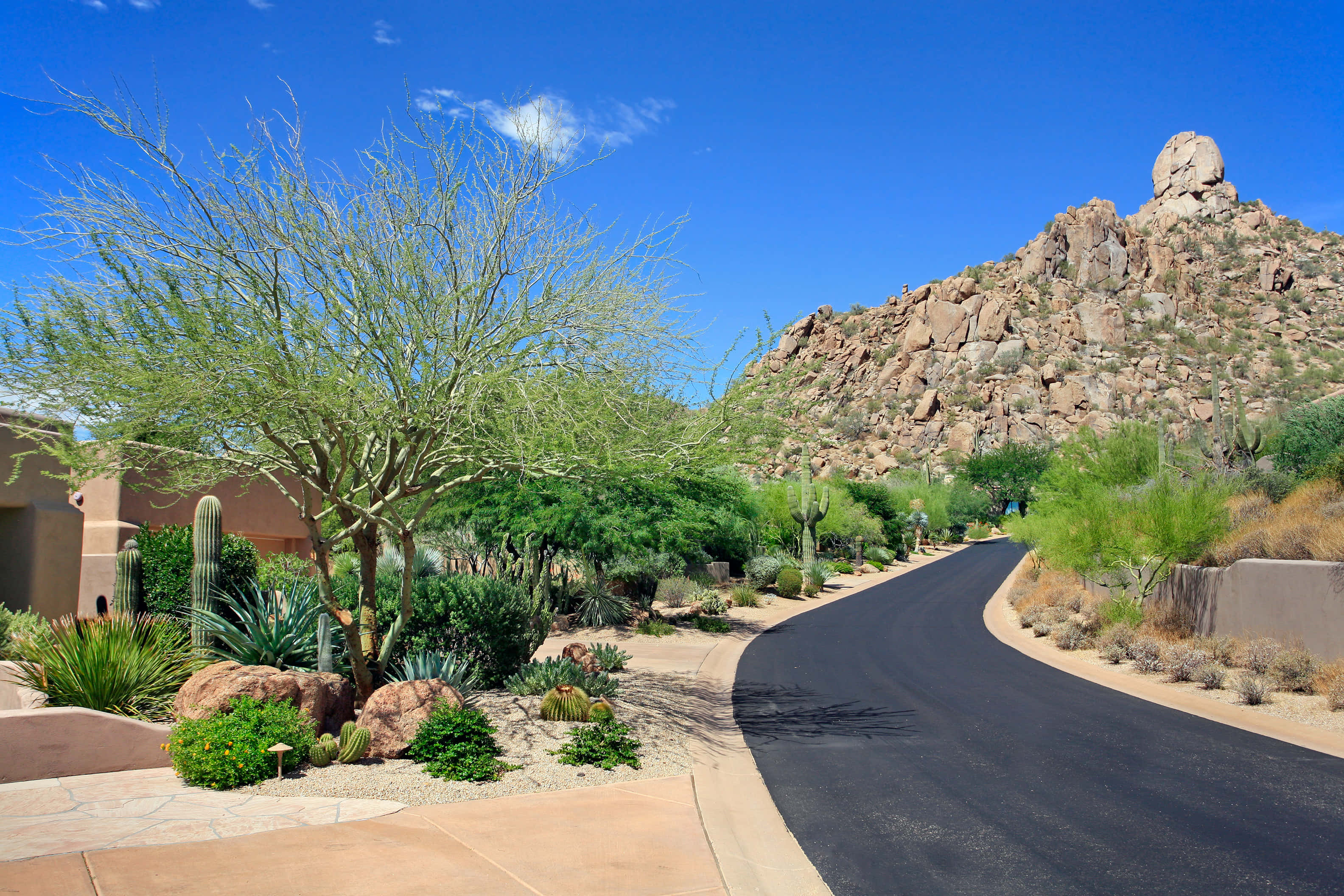 Phoenix Arizona, asphalt road, desert landscape, 2K Desktop Wallpaper