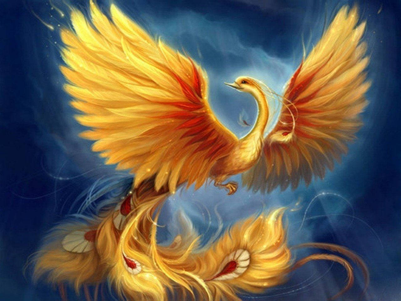 Phoenix Arizona, golden phoenix, fiery wings, HD Desktop Wallpaper