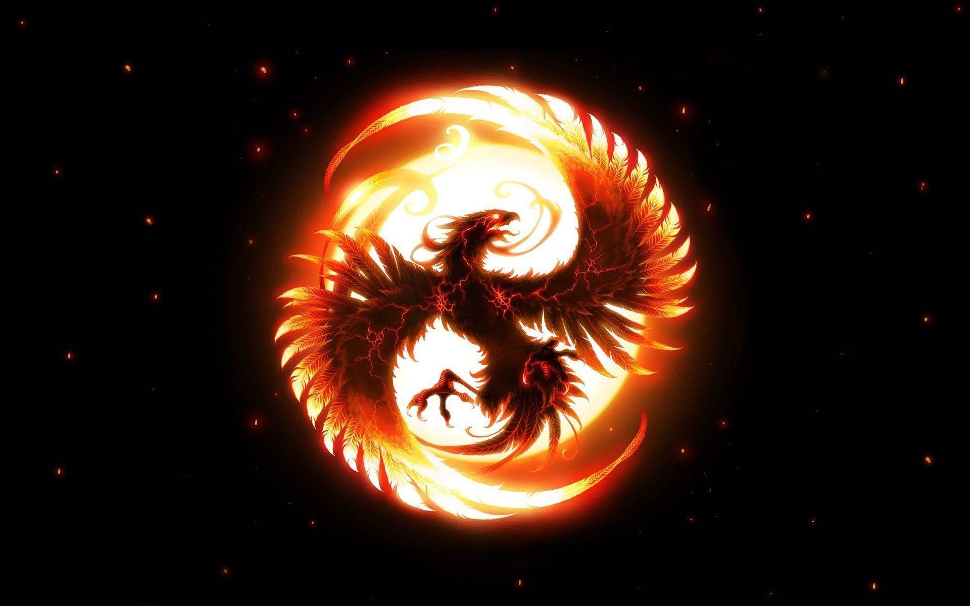 Phoenix, Arizona, fiery phoenix, glowing orange wings, Full HD Desktop Wallpaper