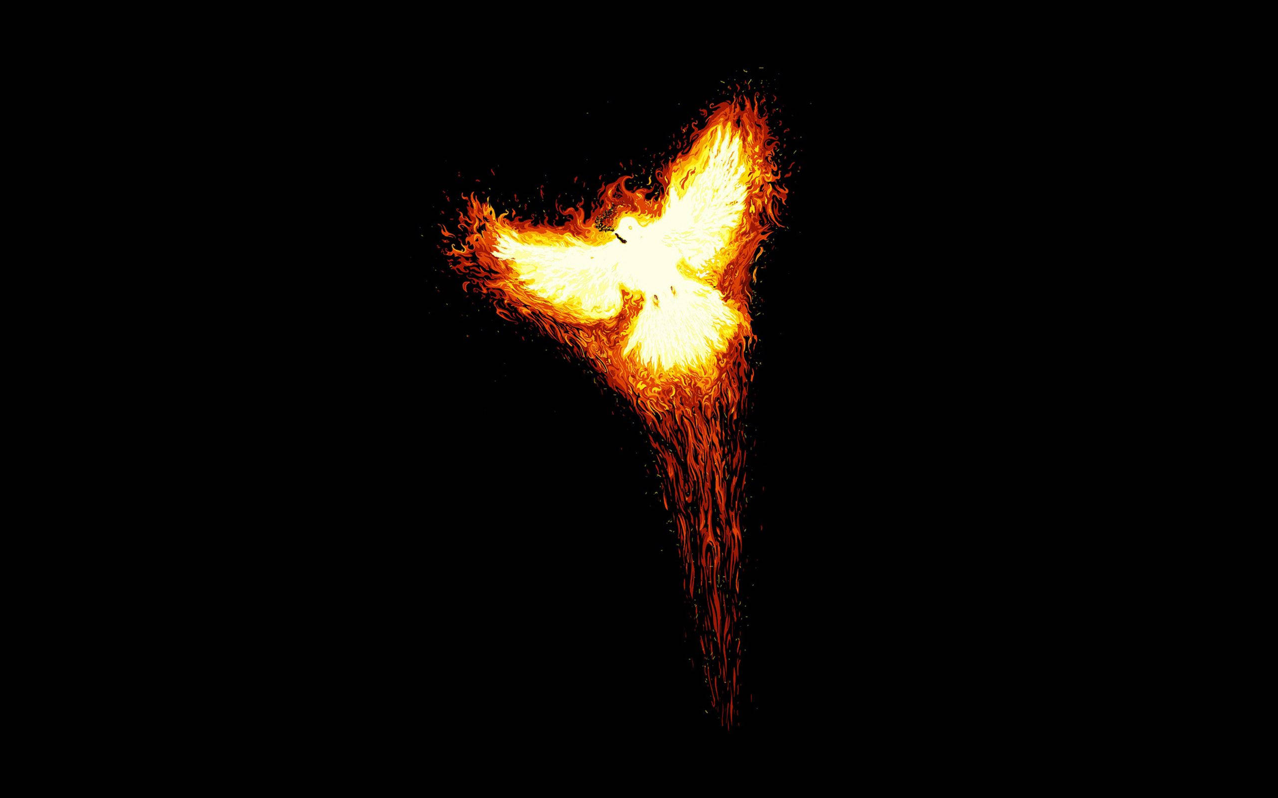Phoenix, Arizona, fiery bird of flame, pitch black void, 2K Desktop Wallpaper