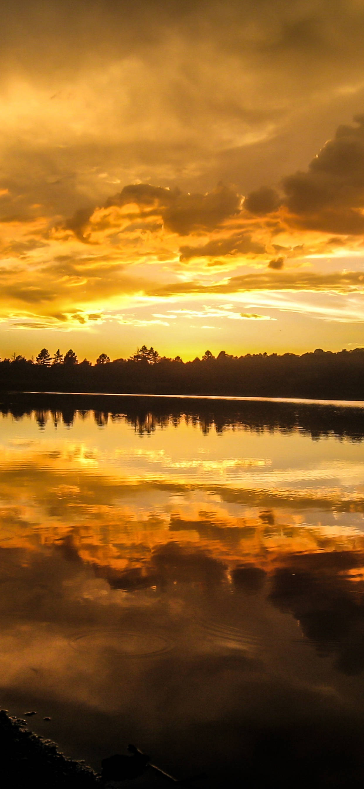 Arizona, golden sunset, calm lake, 2K Phone Wallpaper