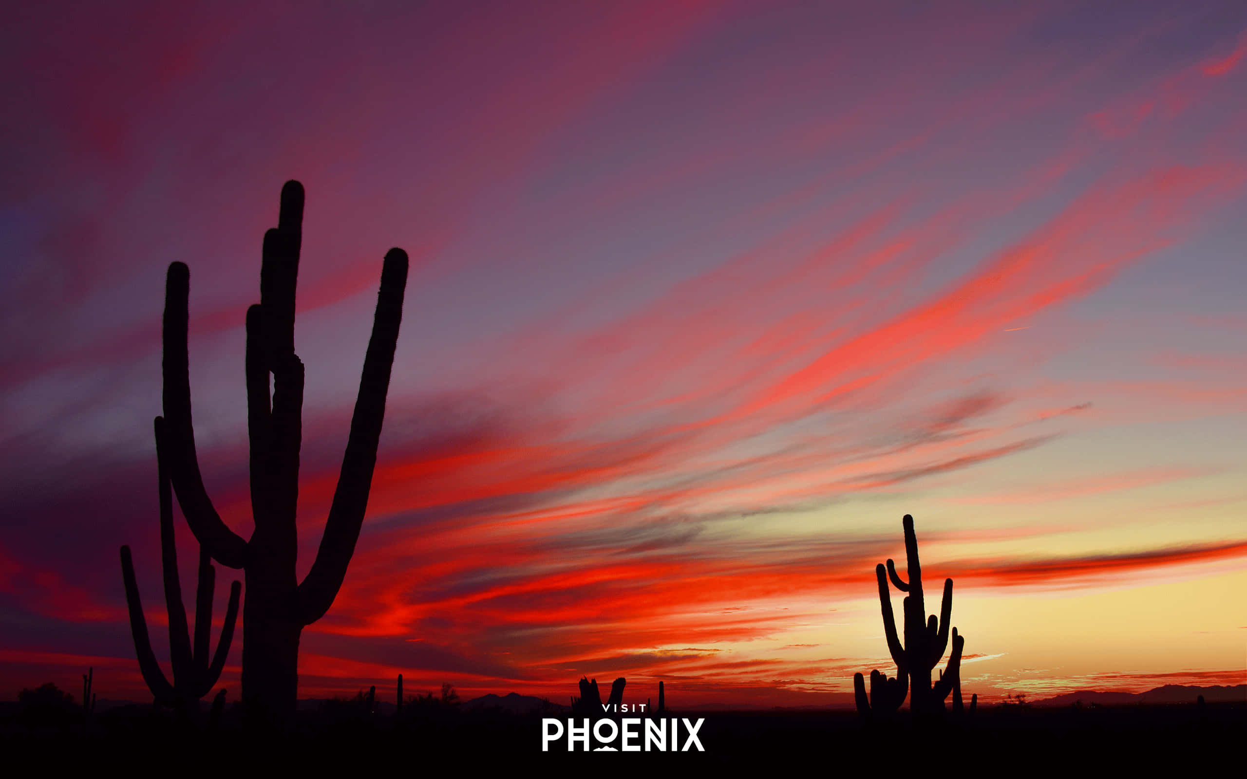 Phoenix Arizona, saguaro cacti, fiery sunset sky, 2K Desktop Wallpaper