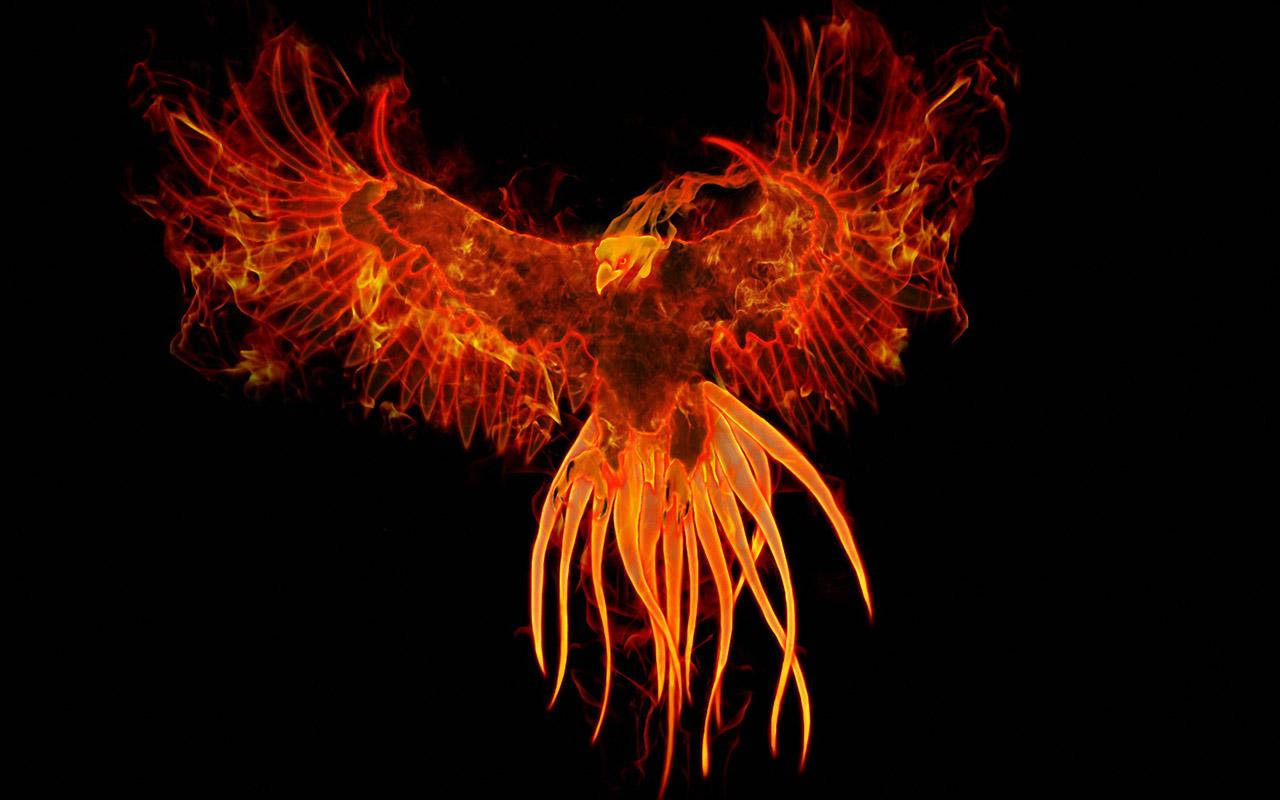 Phoenix, vibrant orange, red flames, HD Desktop Wallpaper