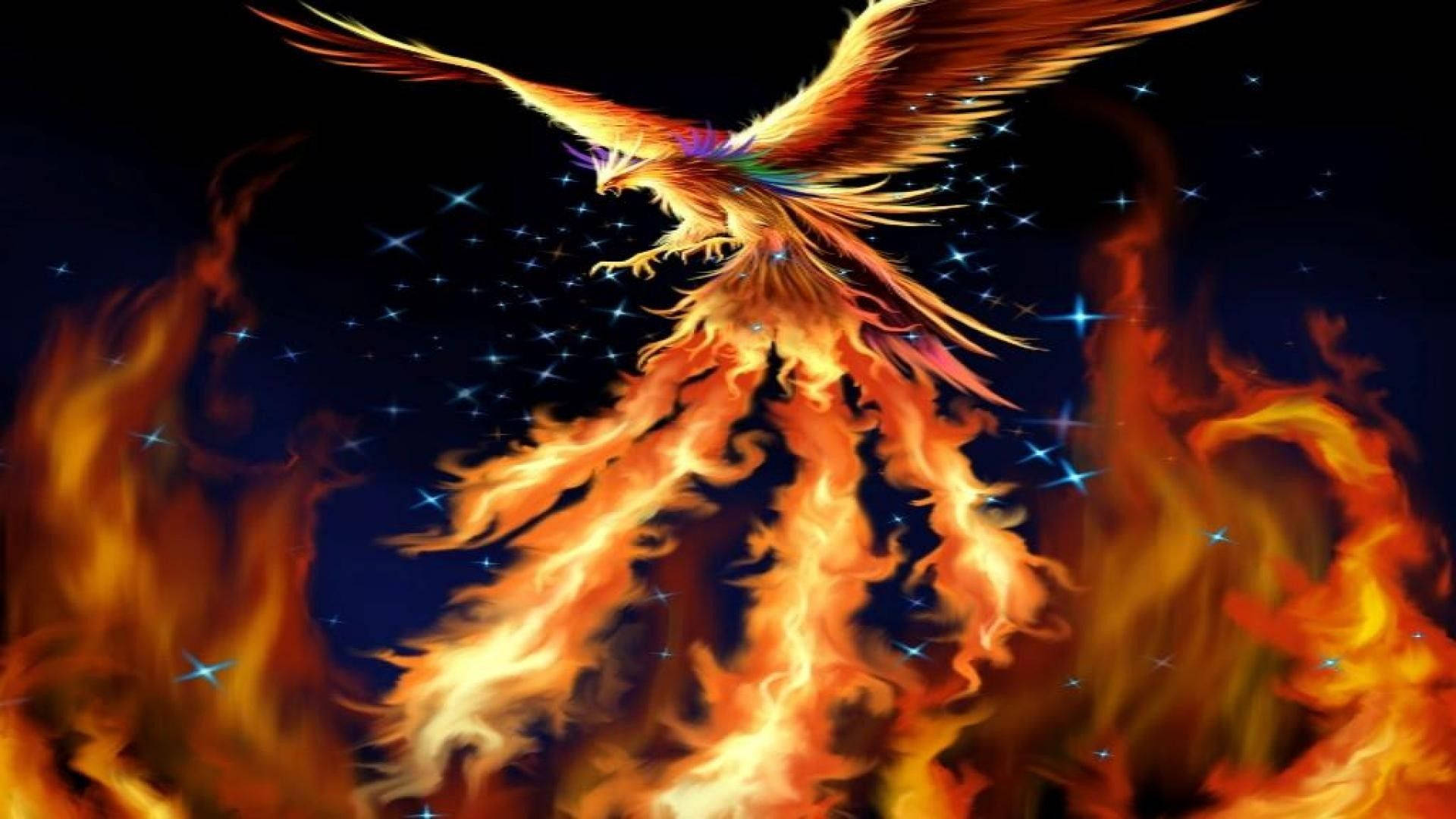 phoenix, rainbow feathers, flames, Full HD Desktop Wallpaper