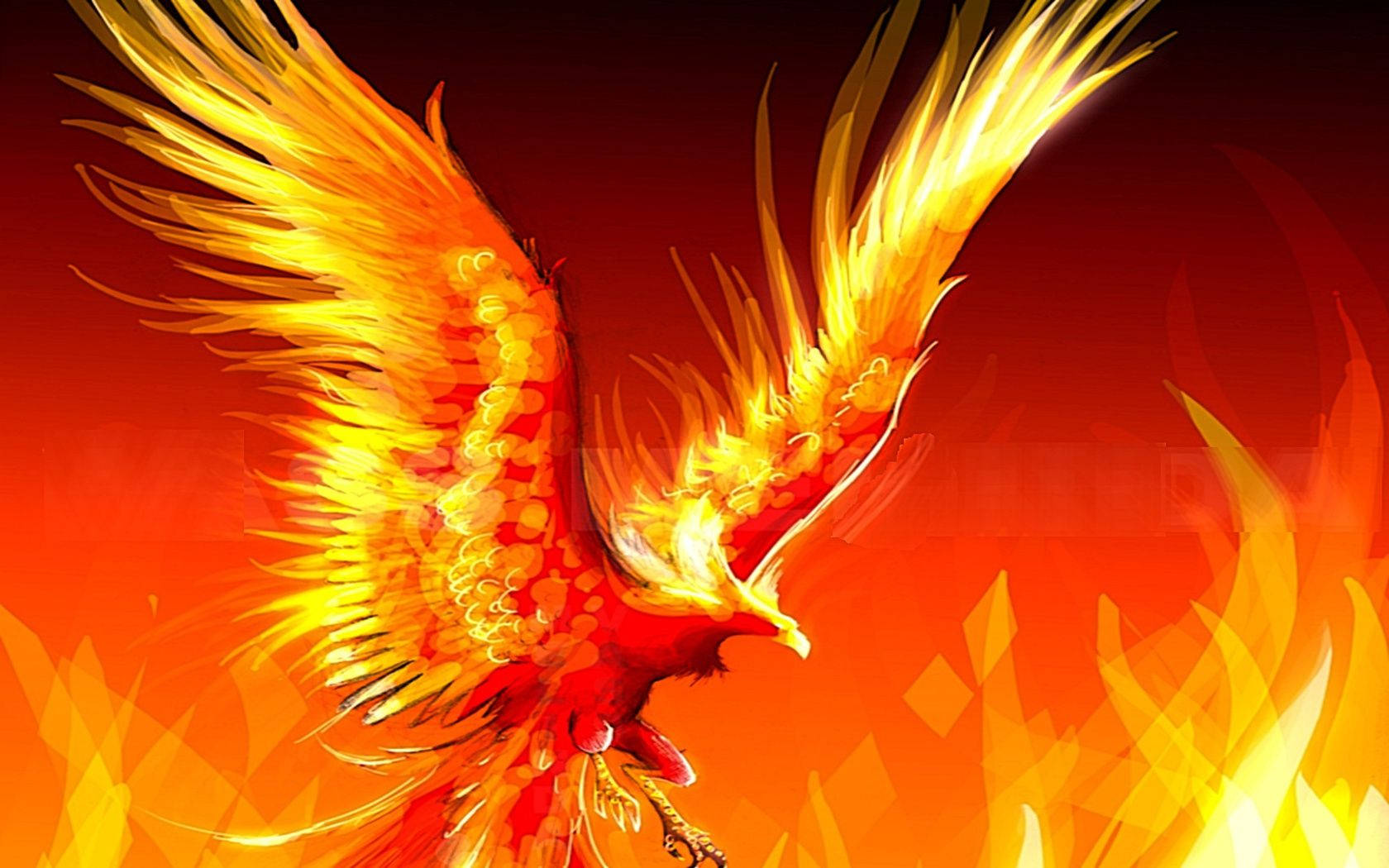 Red Gold Phoenix, phoenix, fiery orange feathers, HD Desktop Wallpaper