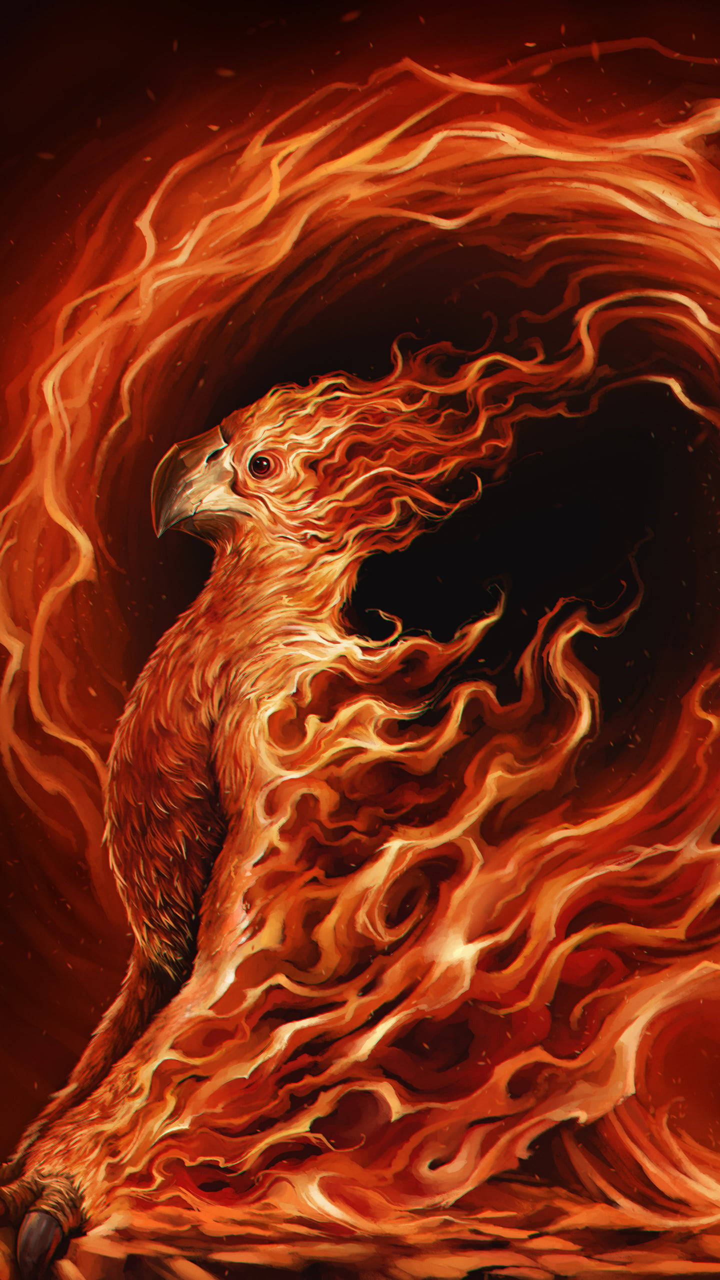 phoenix, fiery orange and red plumage, swirling flames, 2K Phone Wallpaper