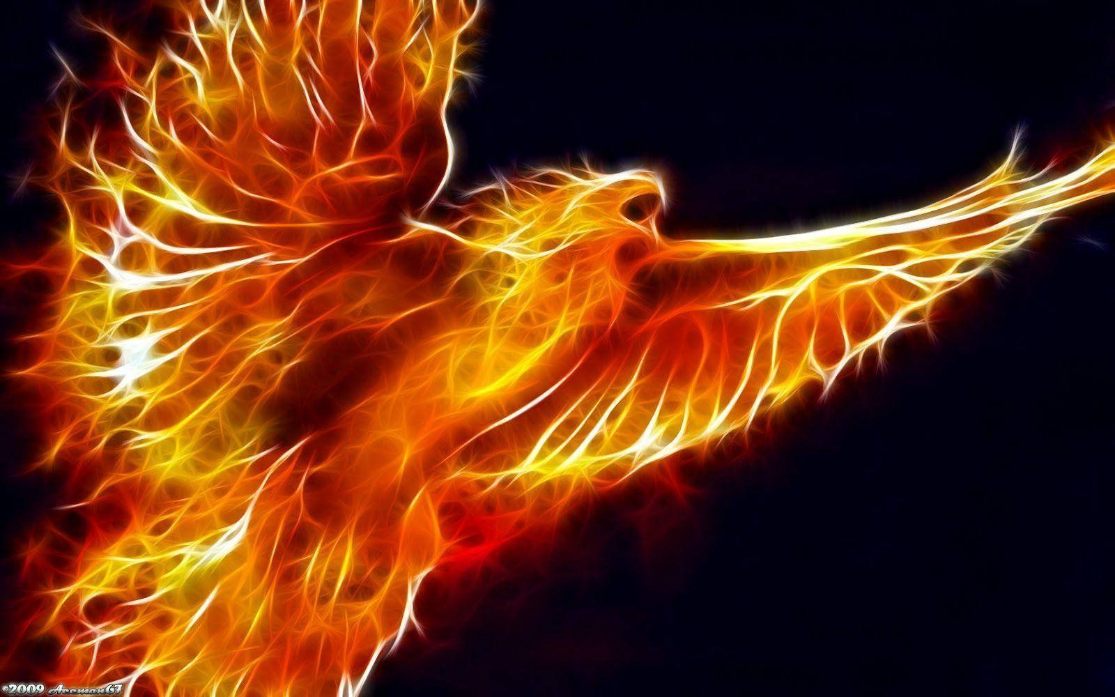 phoenix, glowing orange and yellow wings, dark void, HD Desktop Wallpaper
