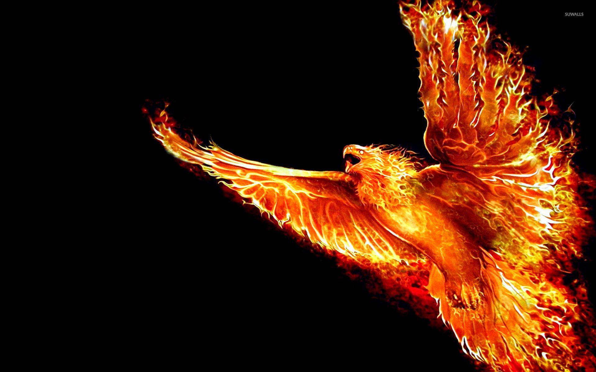 Phoenix, pitch-black void, orange and red flames, Full HD Desktop Wallpaper