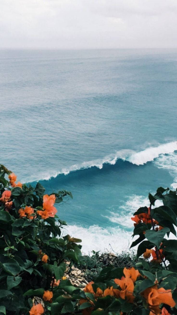 pastel vintage photograph, orange flowers, turquoise ocean wave, HD Phone Wallpaper