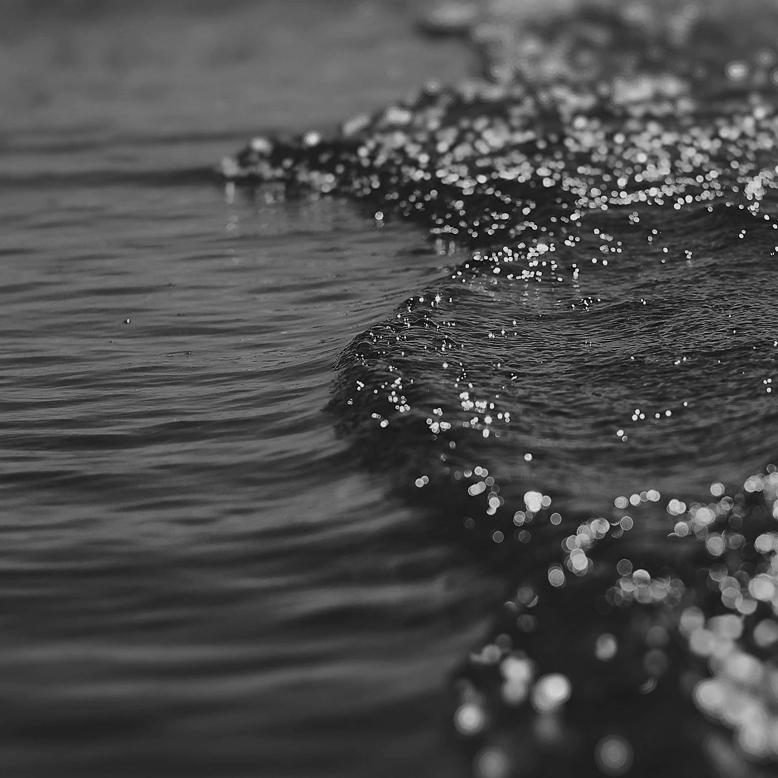 black and white ocean, gentle ocean waves, sparkling droplets, 2K Desktop Wallpaper