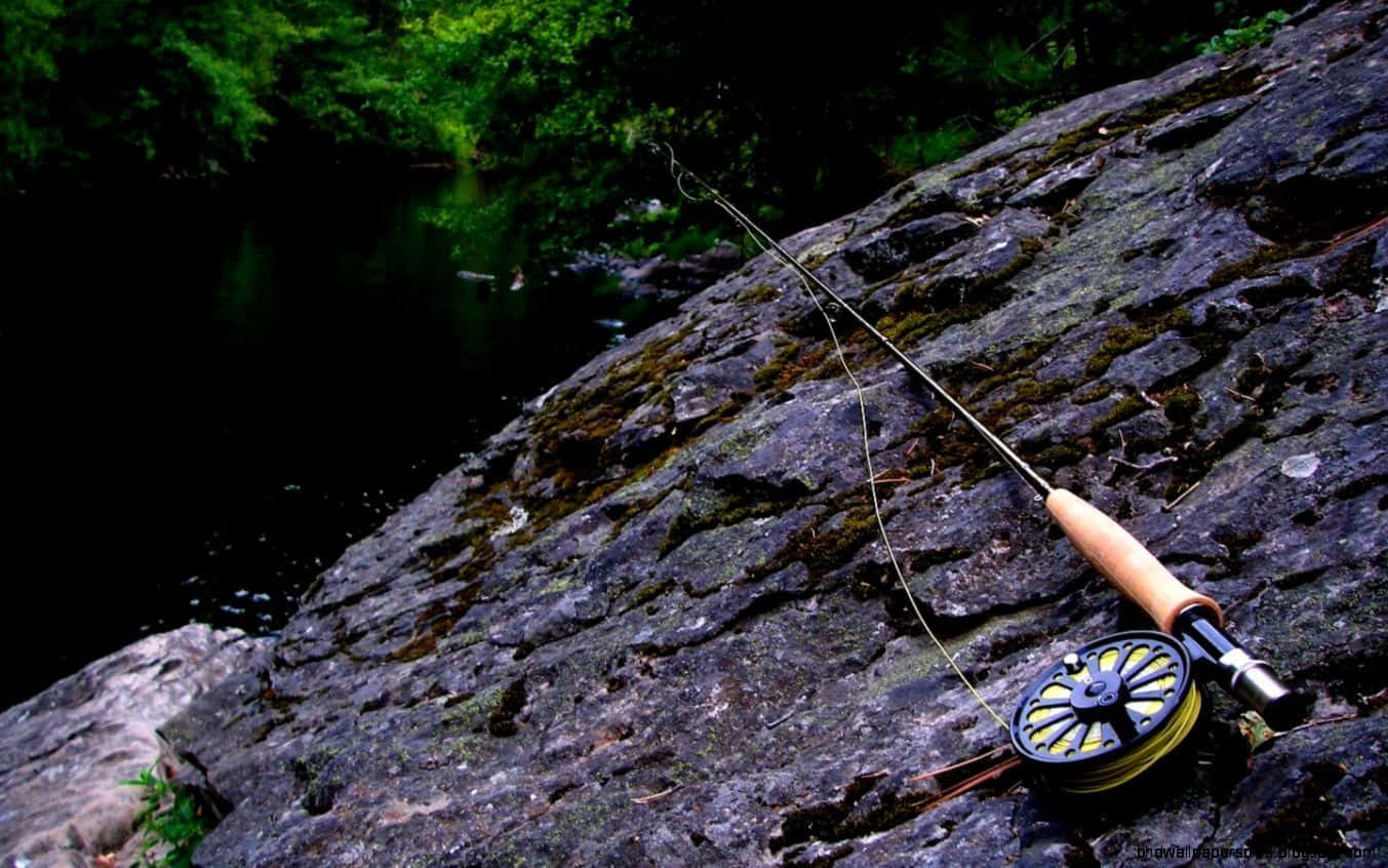 fly fishing rod, yellow line, mossy rock, HD Desktop Wallpaper