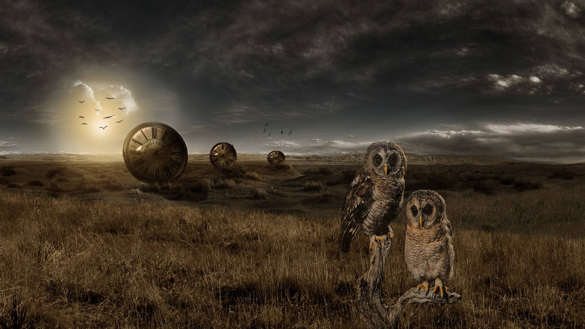 clock dials, owls, desolate field, Full HD Desktop Wallpaper