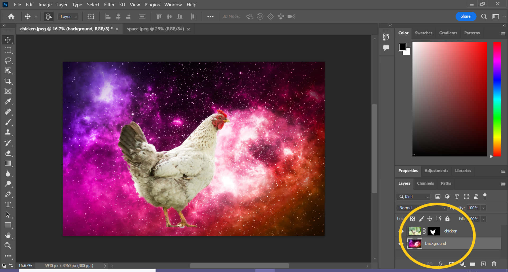 Photoshop, rooster, cosmic nebula, Full HD Desktop Wallpaper